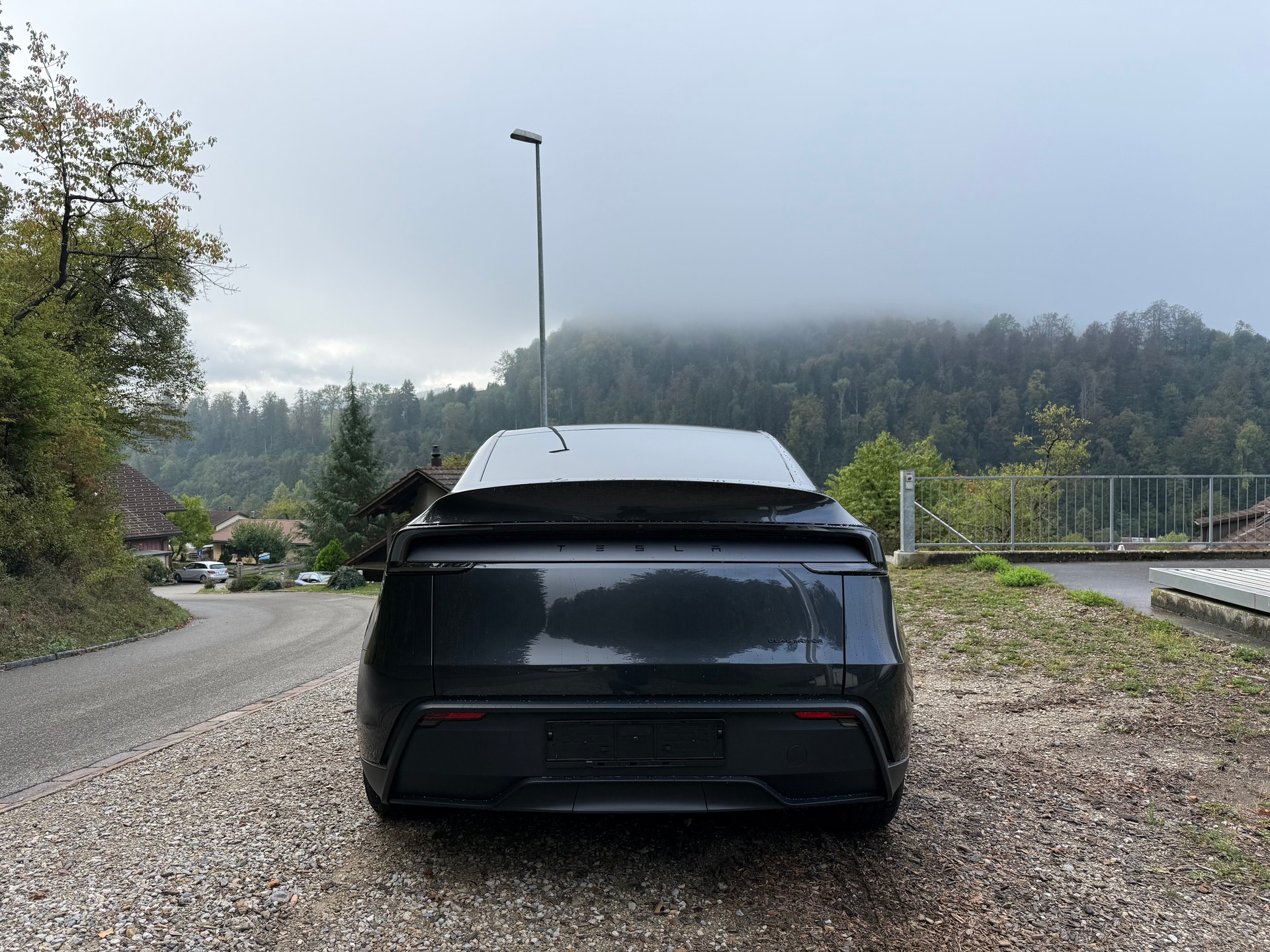 TESLA Model Y Long Range Premium AWD-image-3