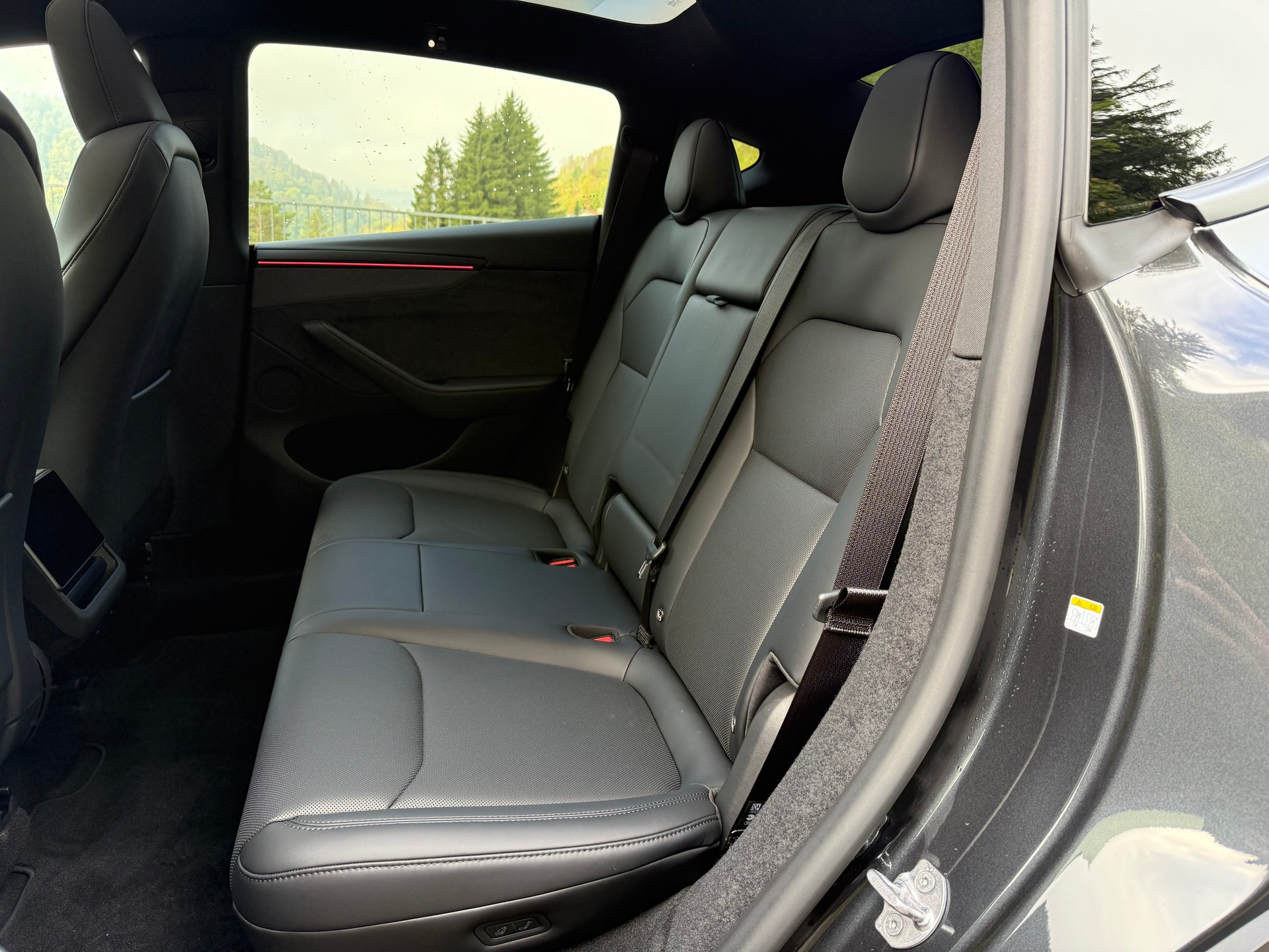 TESLA Model Y Long Range Premium AWD-image-9