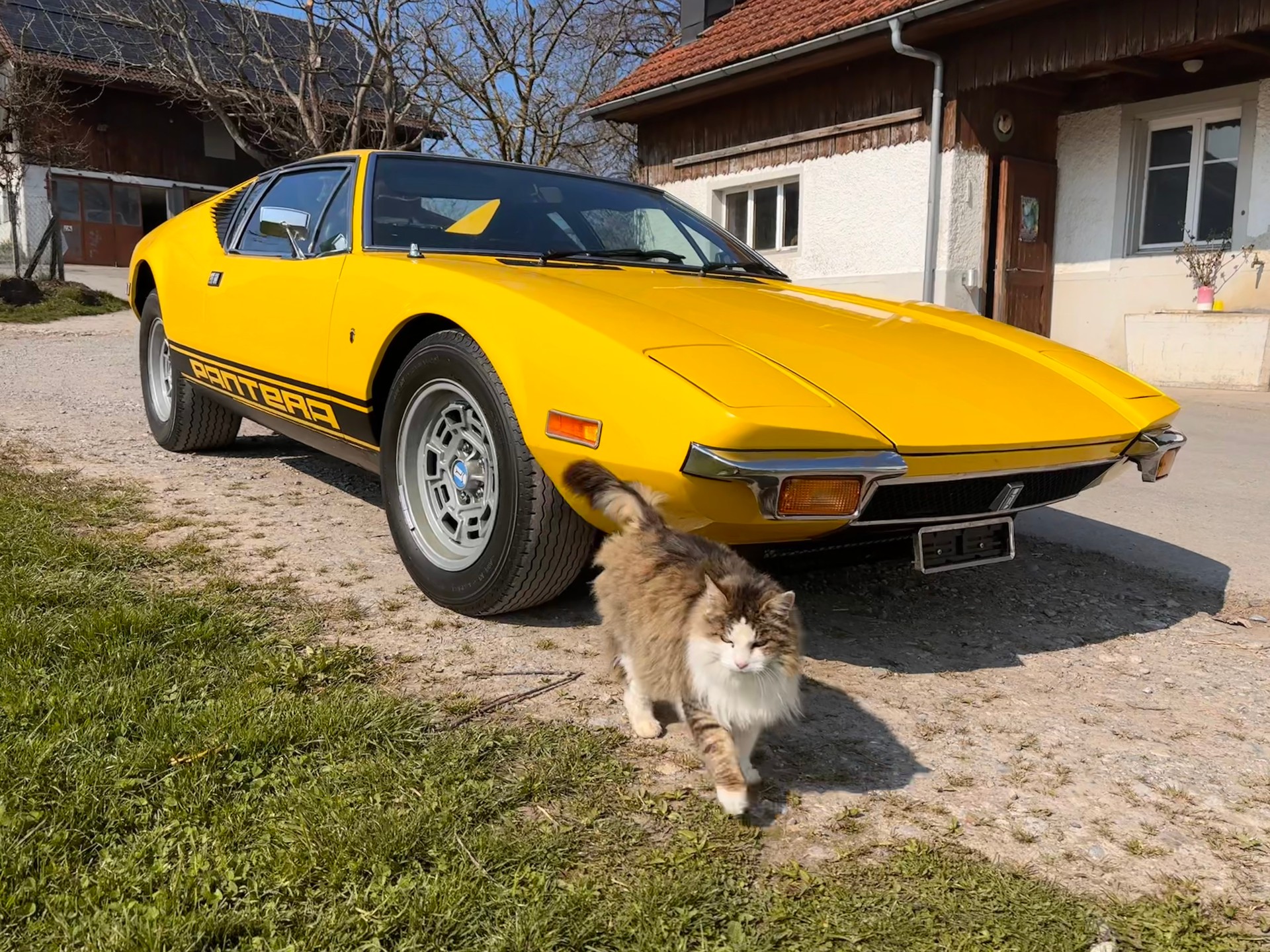 DE TOMASO Late 1972