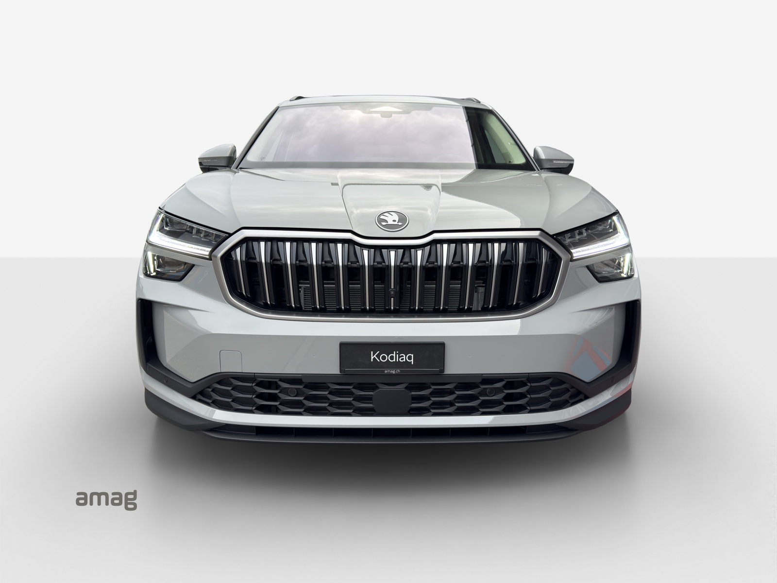 SKODA Kodiaq Dynamic-image-6