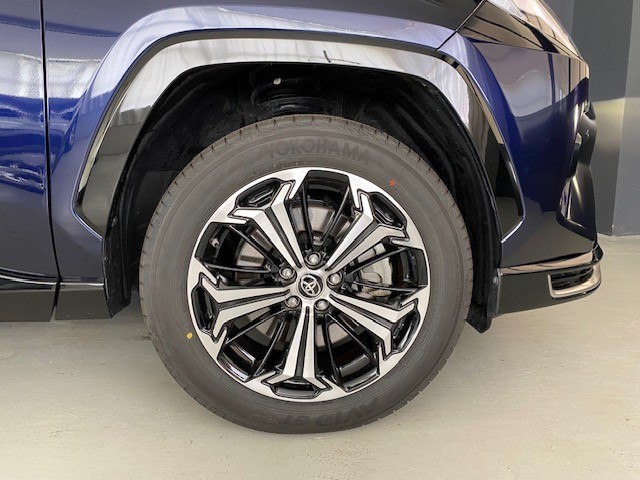 TOYOTA RAV-4 2.5 Plug-In-Hybrid Platinum-image-6