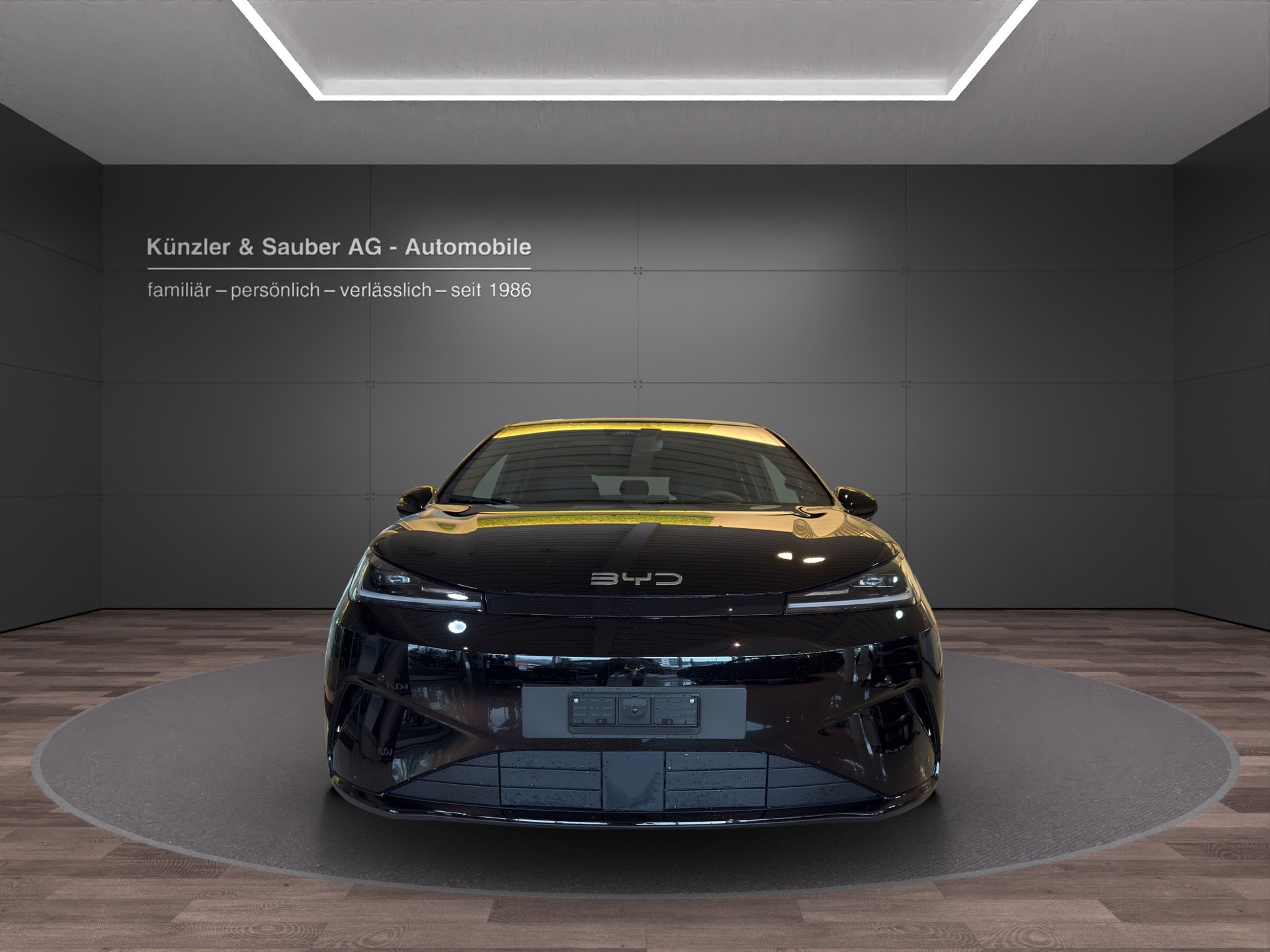 BYD Dolphin G DM-i Comfort-image-3