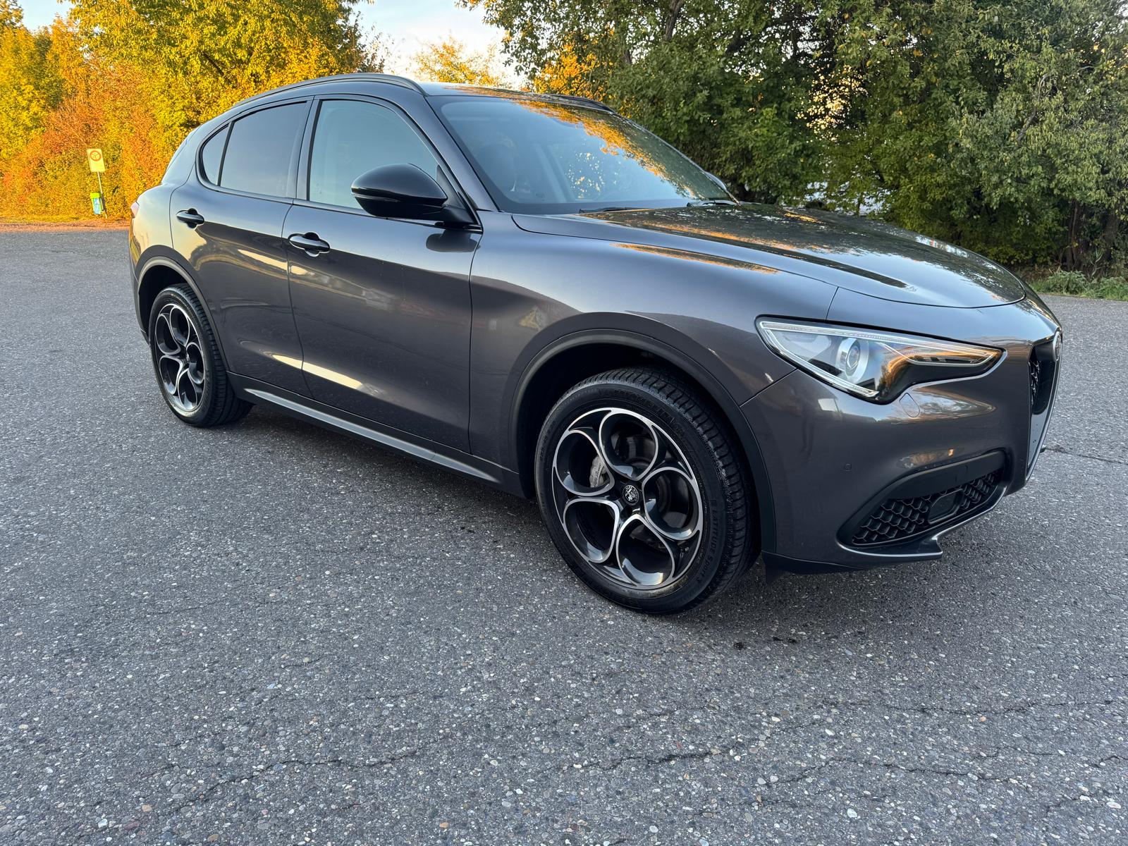 ALFA ROMEO Stelvio 2.2 JTDM Super Q4 Automatic-image-2