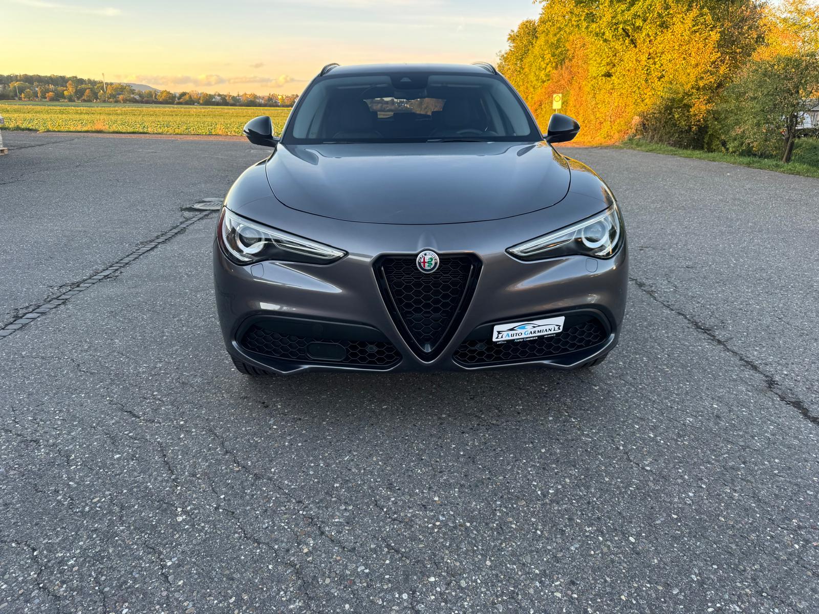 ALFA ROMEO Stelvio 2.2 JTDM Super Q4 Automatic-image-0