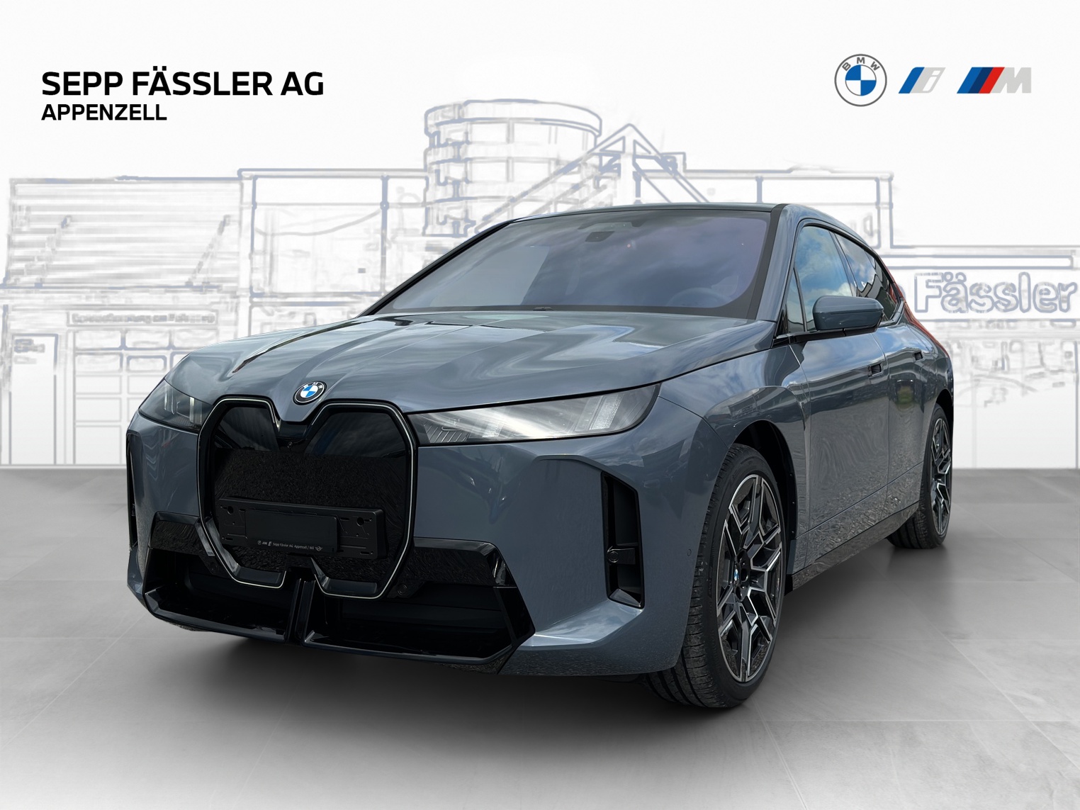 BMW iX xDrive45 M Sport Pro-image-0