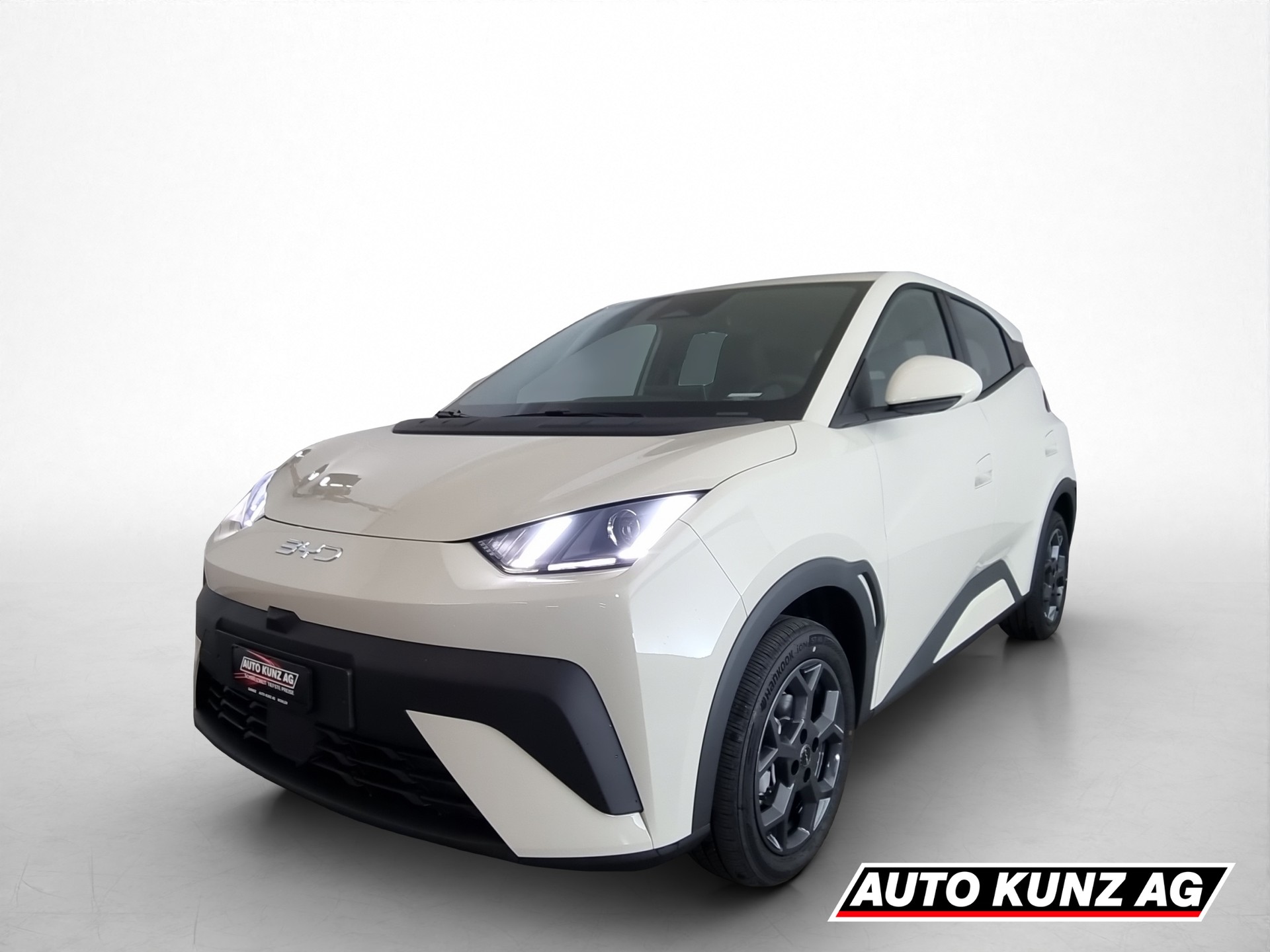 BYD Dolphin Surf 43 kWh Boost