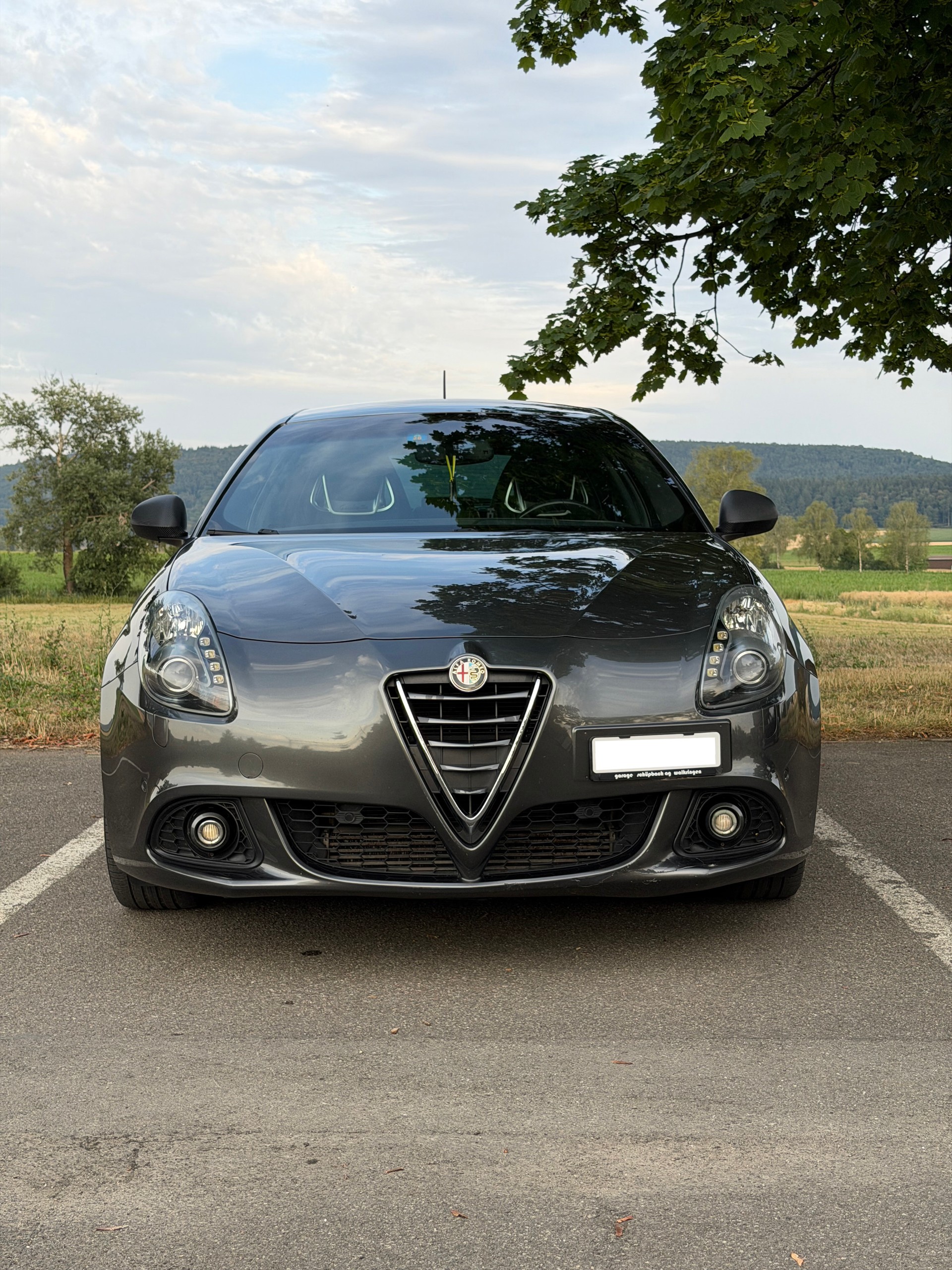 ALFA ROMEO 1750 TBi Quadrifogl. Verde TCT-image-1