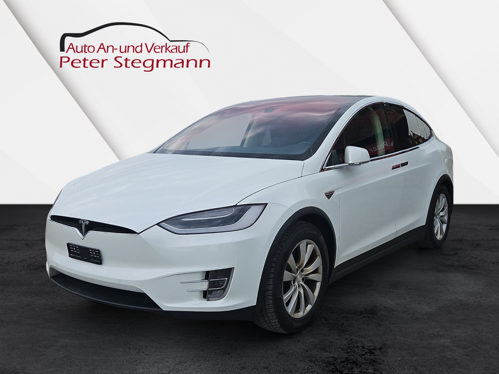 TESLA Model X 90 D-showroom-element-1
