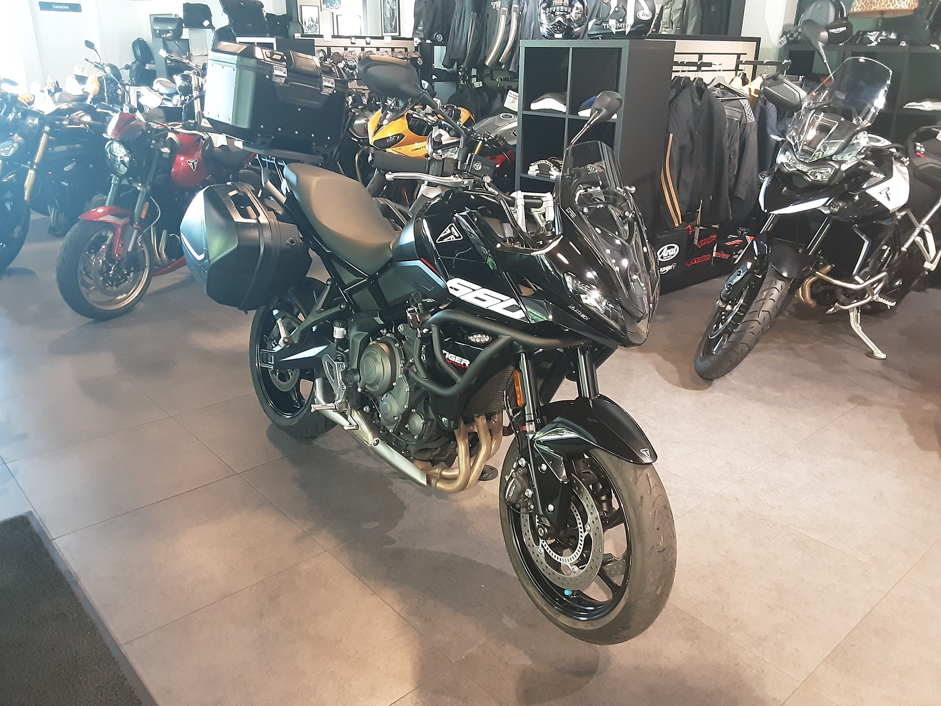 TRIUMPH Tiger Sport 660-image-2