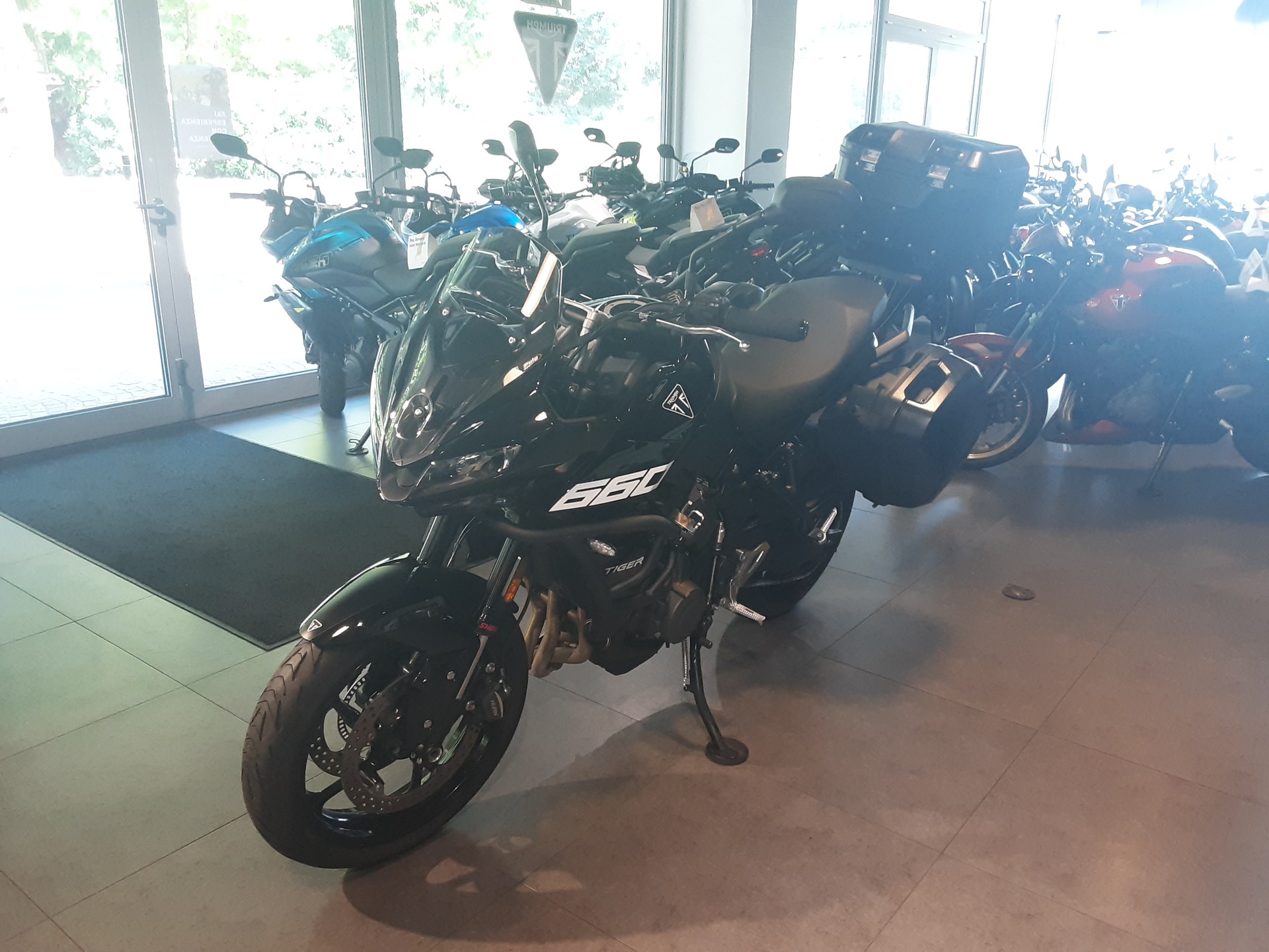 TRIUMPH Tiger Sport 660-image-3