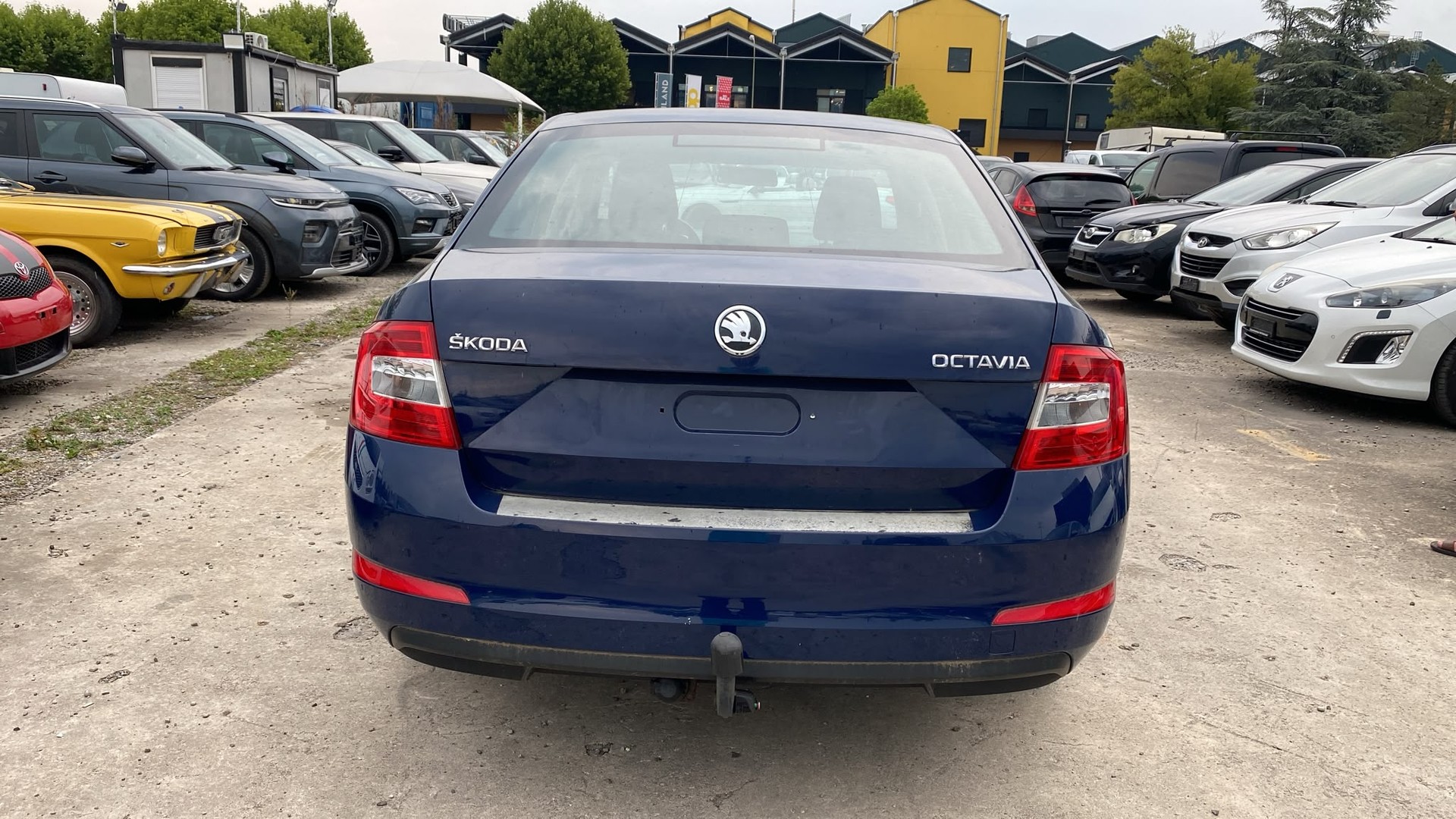 SKODA Octavia 1.6 TDI Greenline-image-5