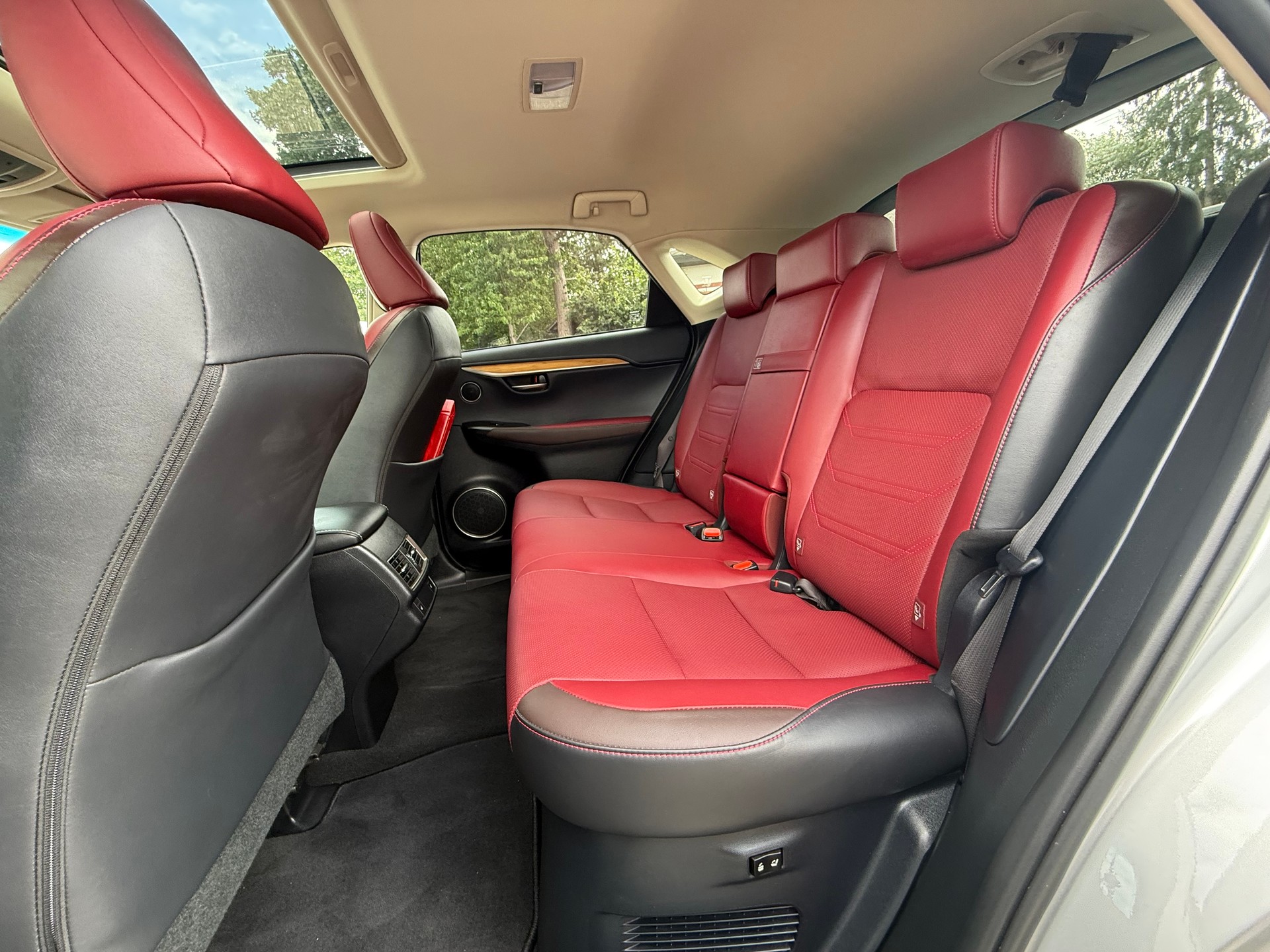 LEXUS NX 300h Excellence E-Four Automatic-image-10