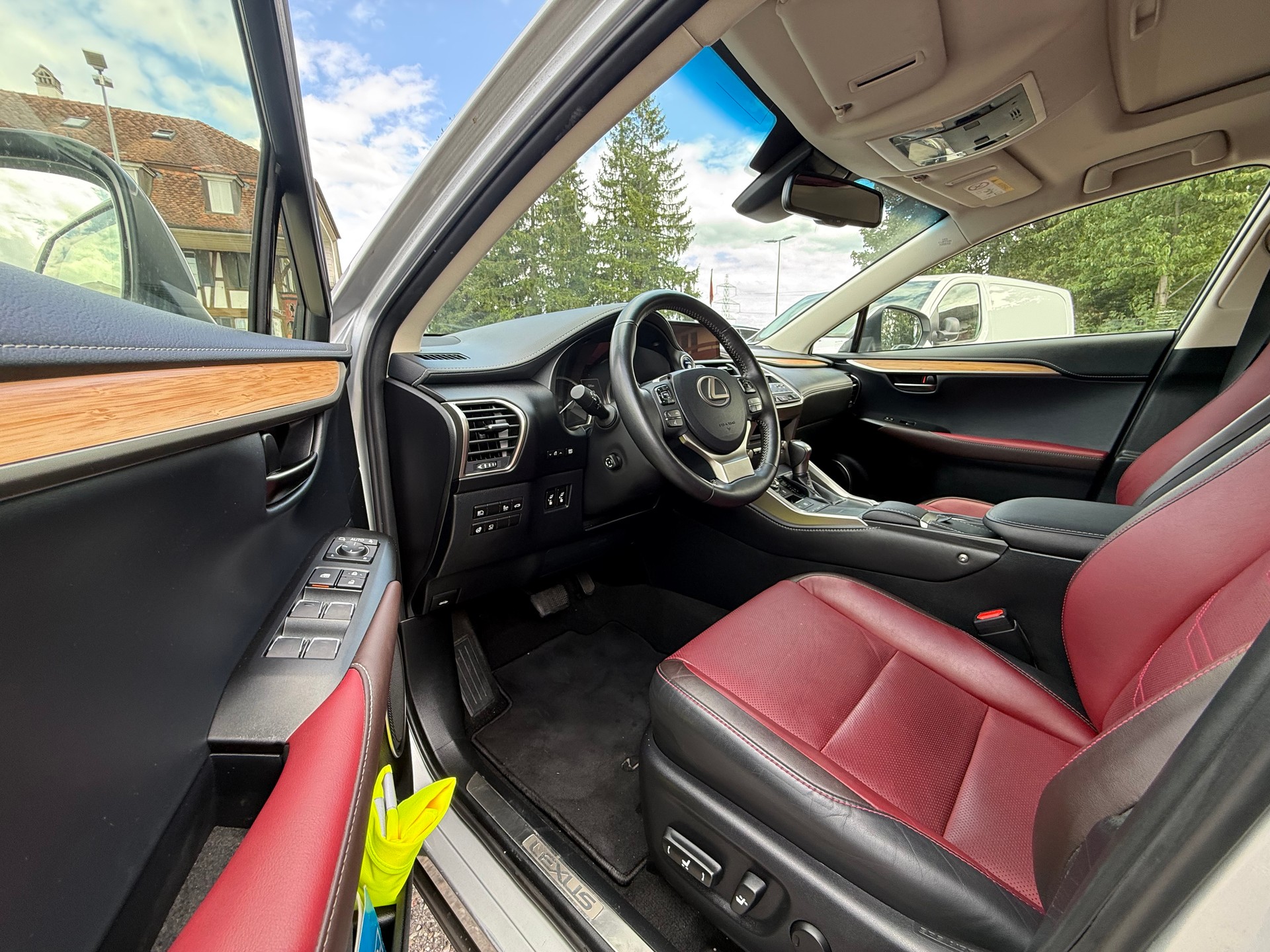 LEXUS NX 300h Excellence E-Four Automatic-image-8