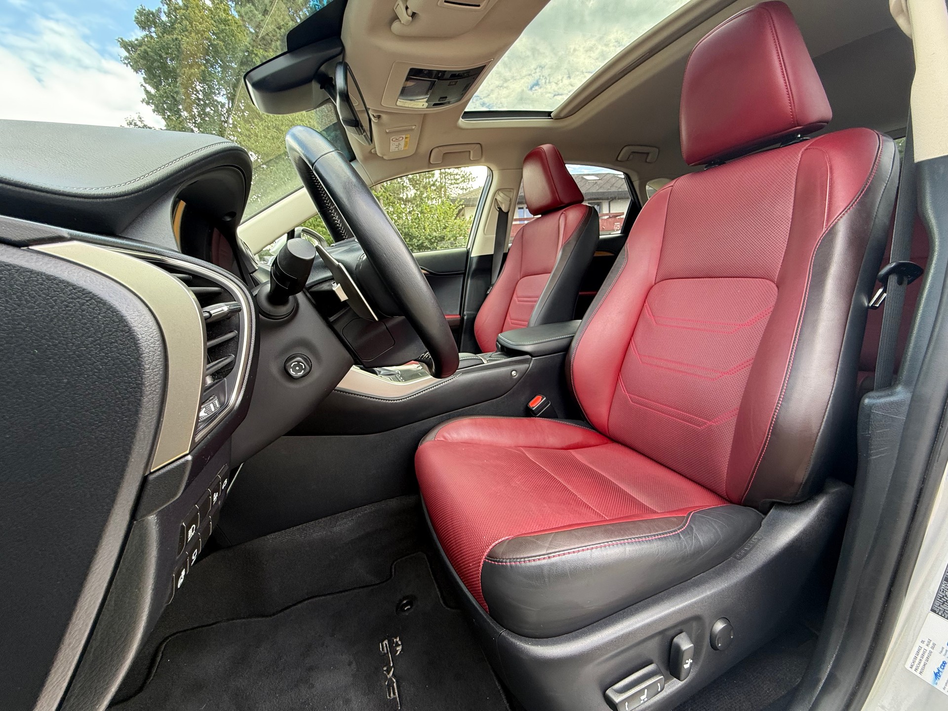 LEXUS NX 300h Excellence E-Four Automatic-image-9