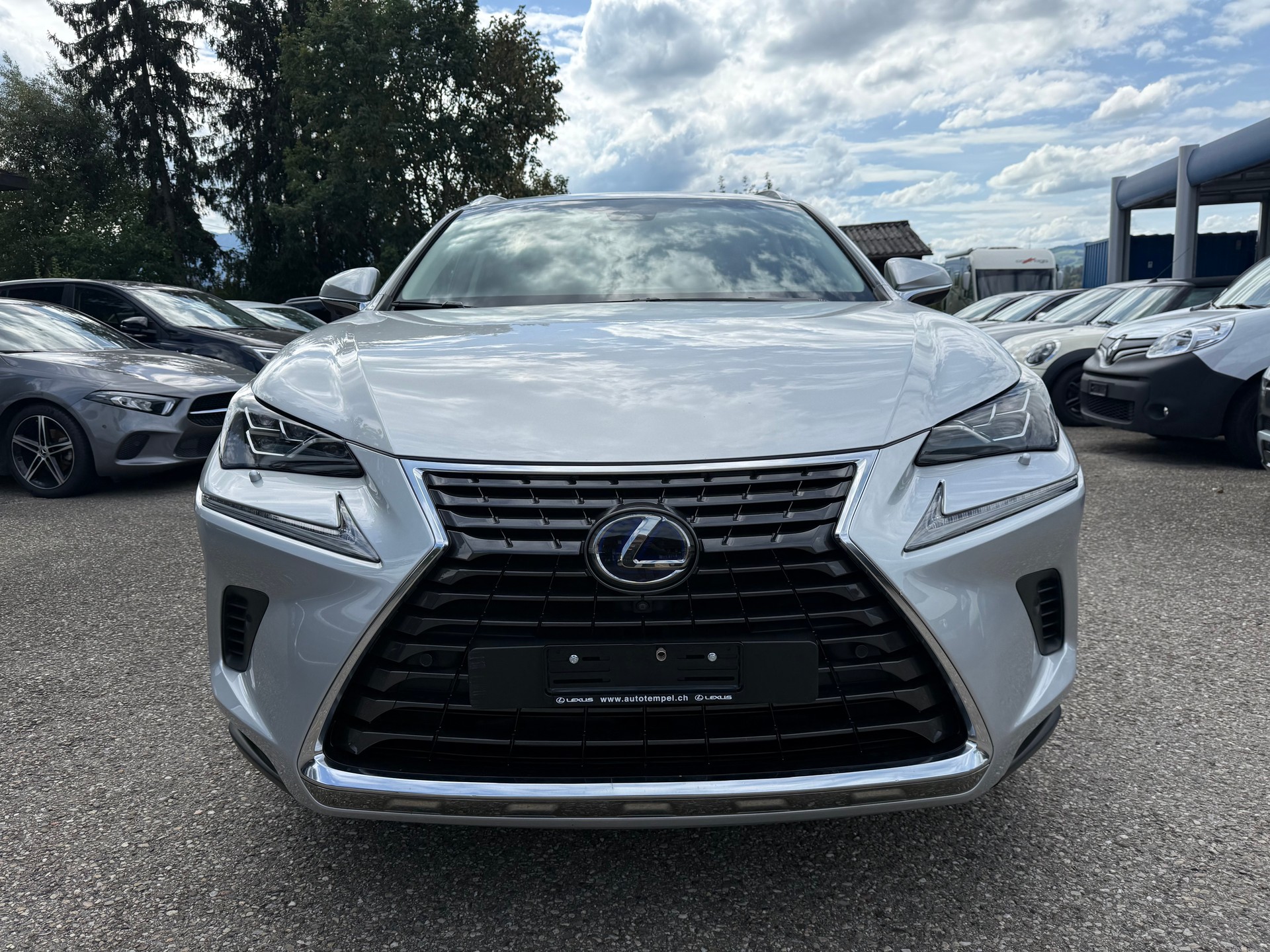 LEXUS NX 300h Excellence E-Four Automatic-image-1