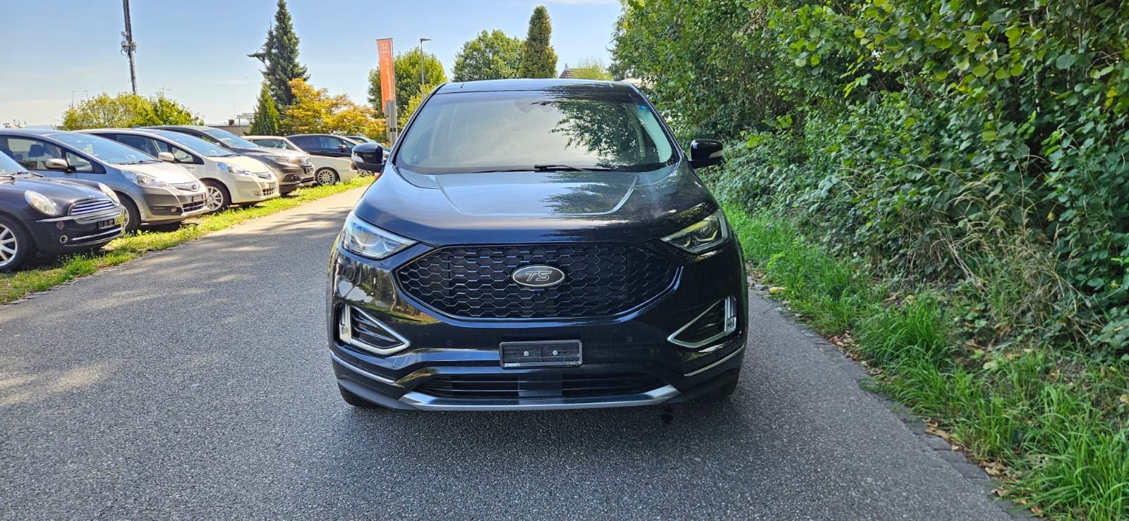 FORD Edge 2.0 EcoBlue Vignale 4WD Automatic