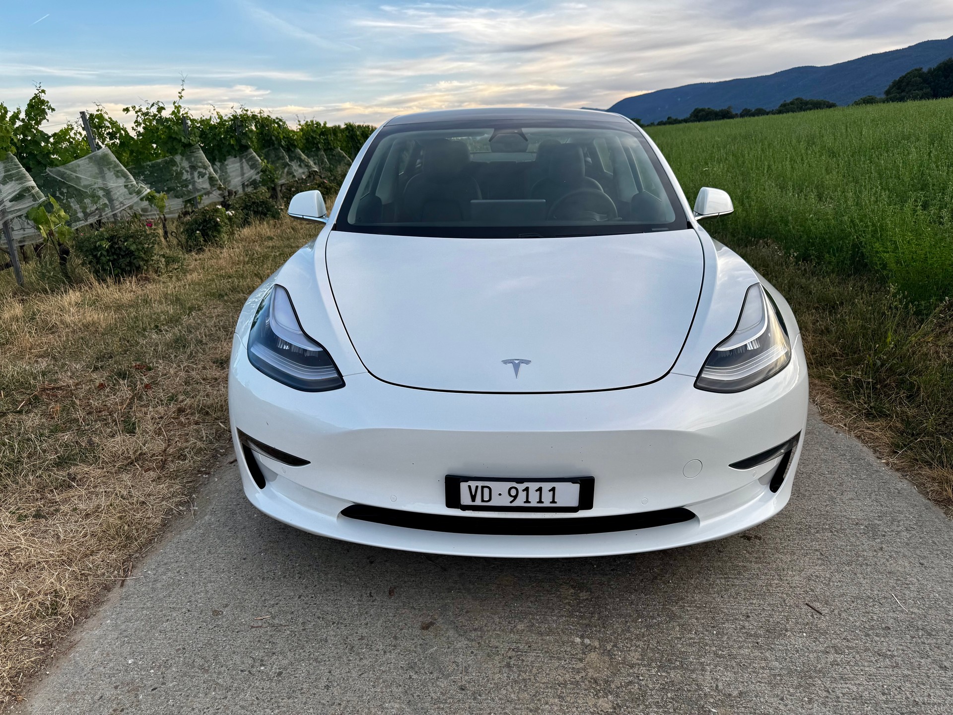 TESLA Performance Dual Motor AWD-image-7