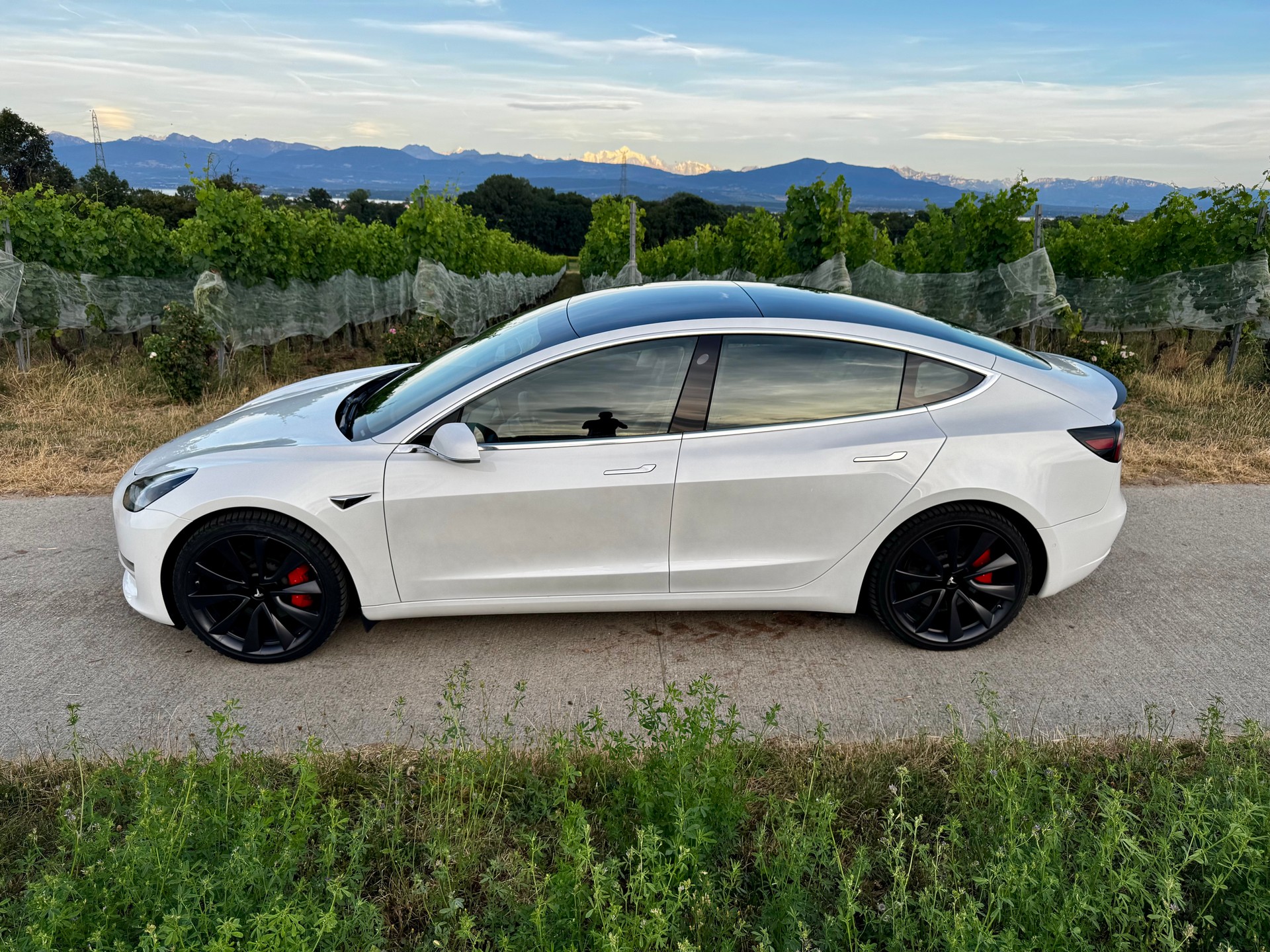 TESLA Performance Dual Motor AWD-image-1