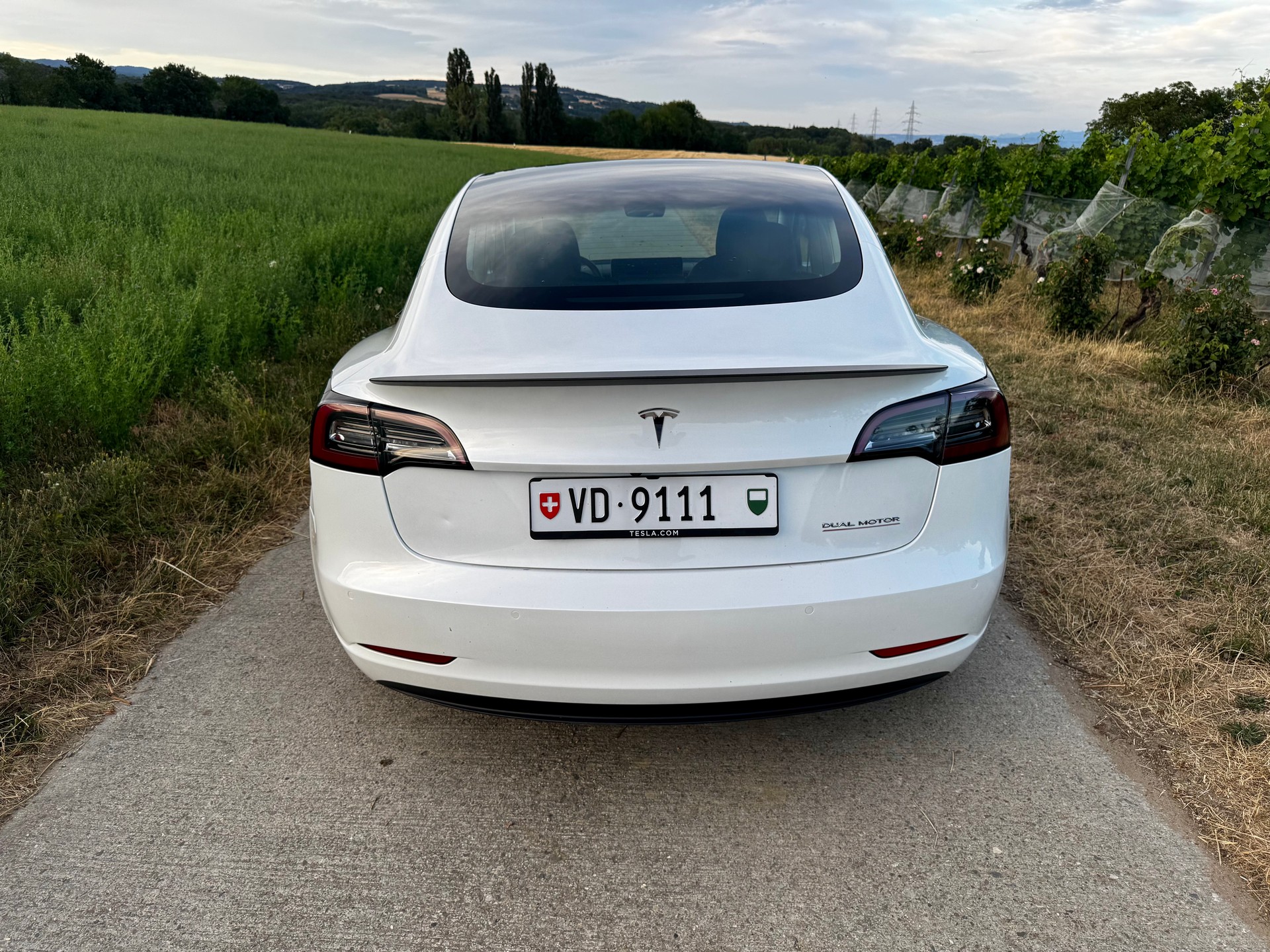 TESLA Performance Dual Motor AWD-image-3