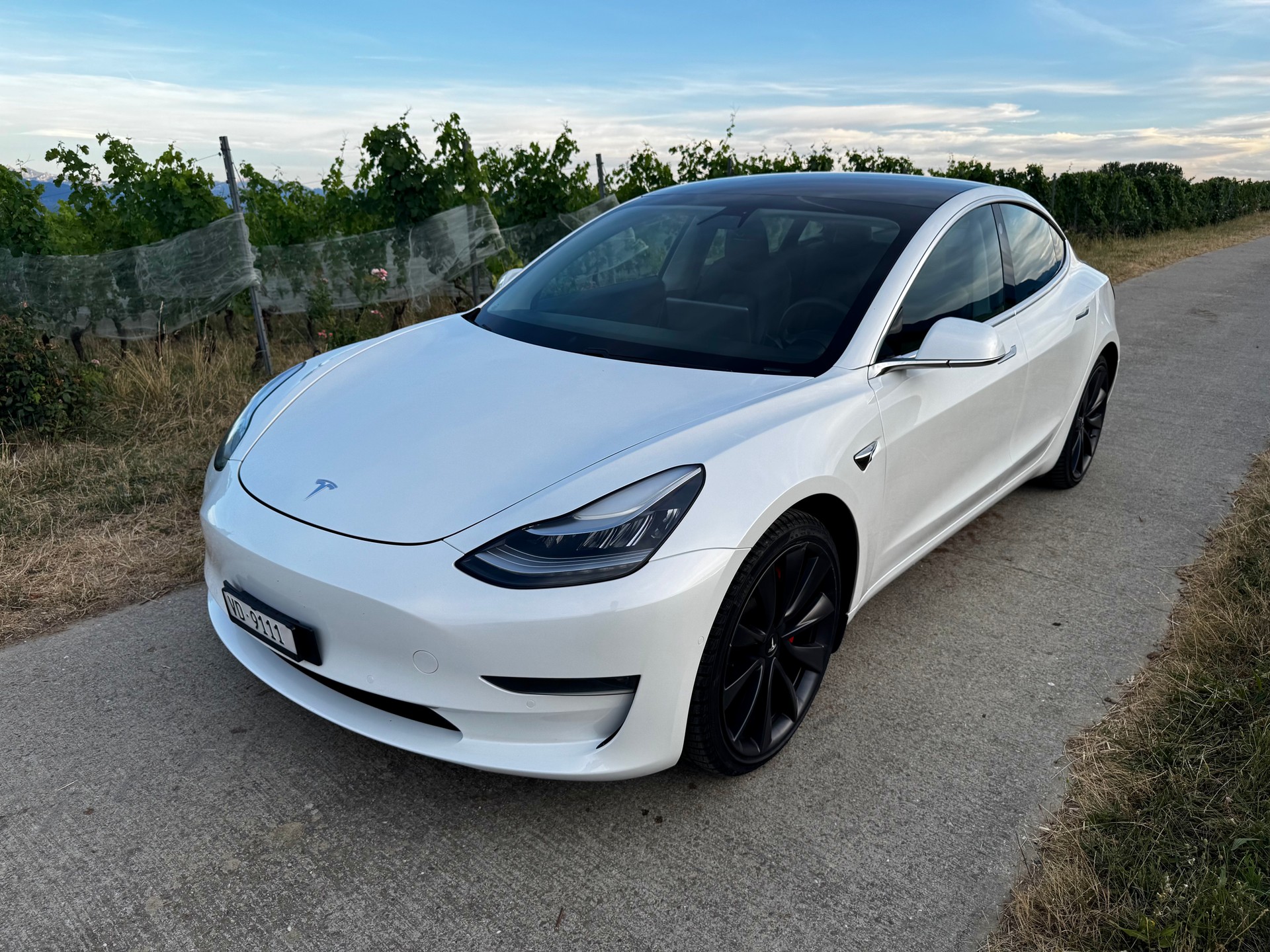 TESLA Performance Dual Motor AWD