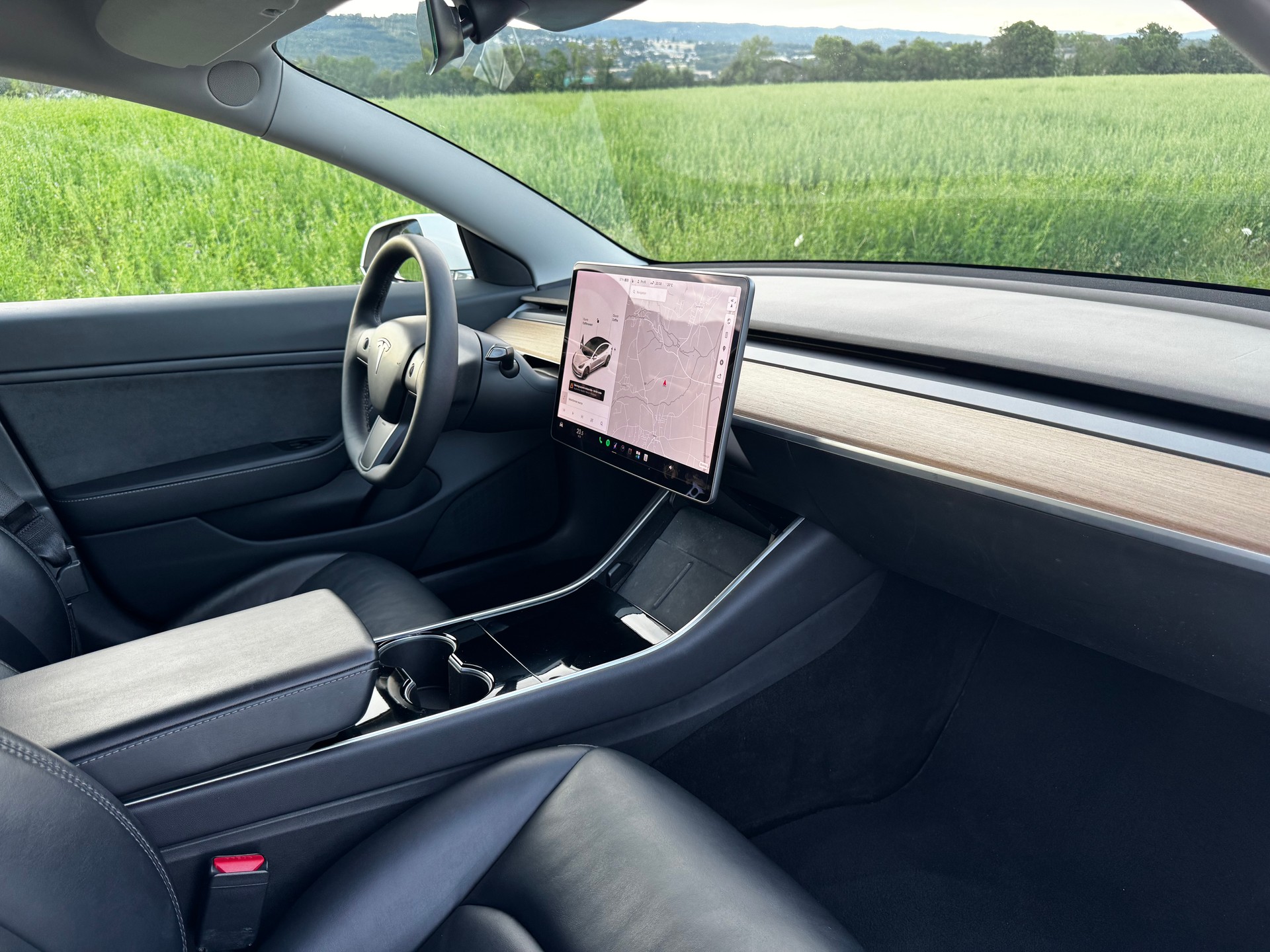 TESLA Performance Dual Motor AWD-image-11