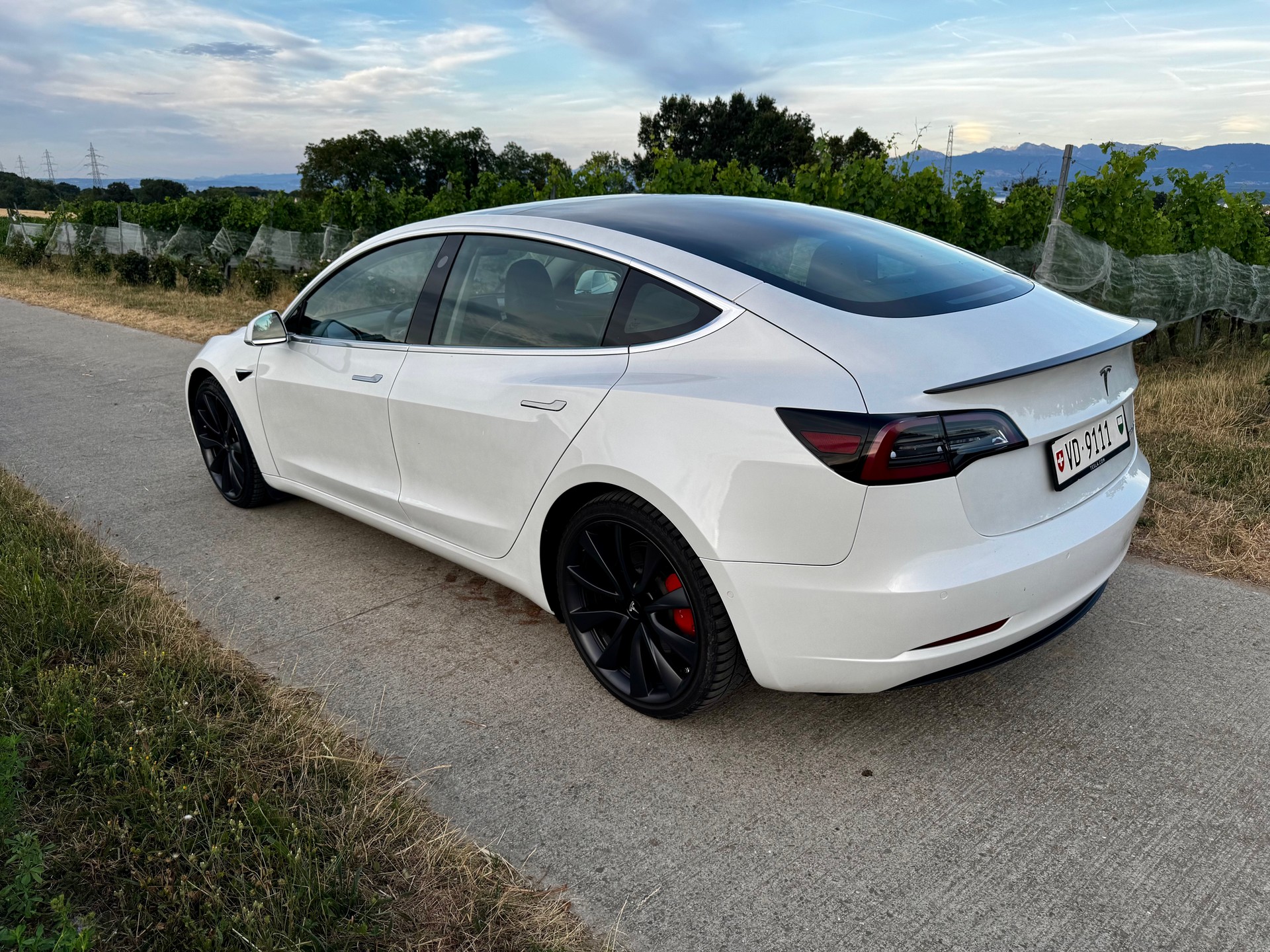 TESLA Performance Dual Motor AWD-image-2
