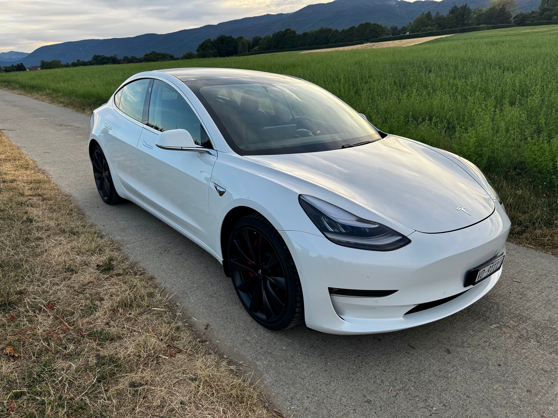 TESLA Performance Dual Motor AWD-image-6