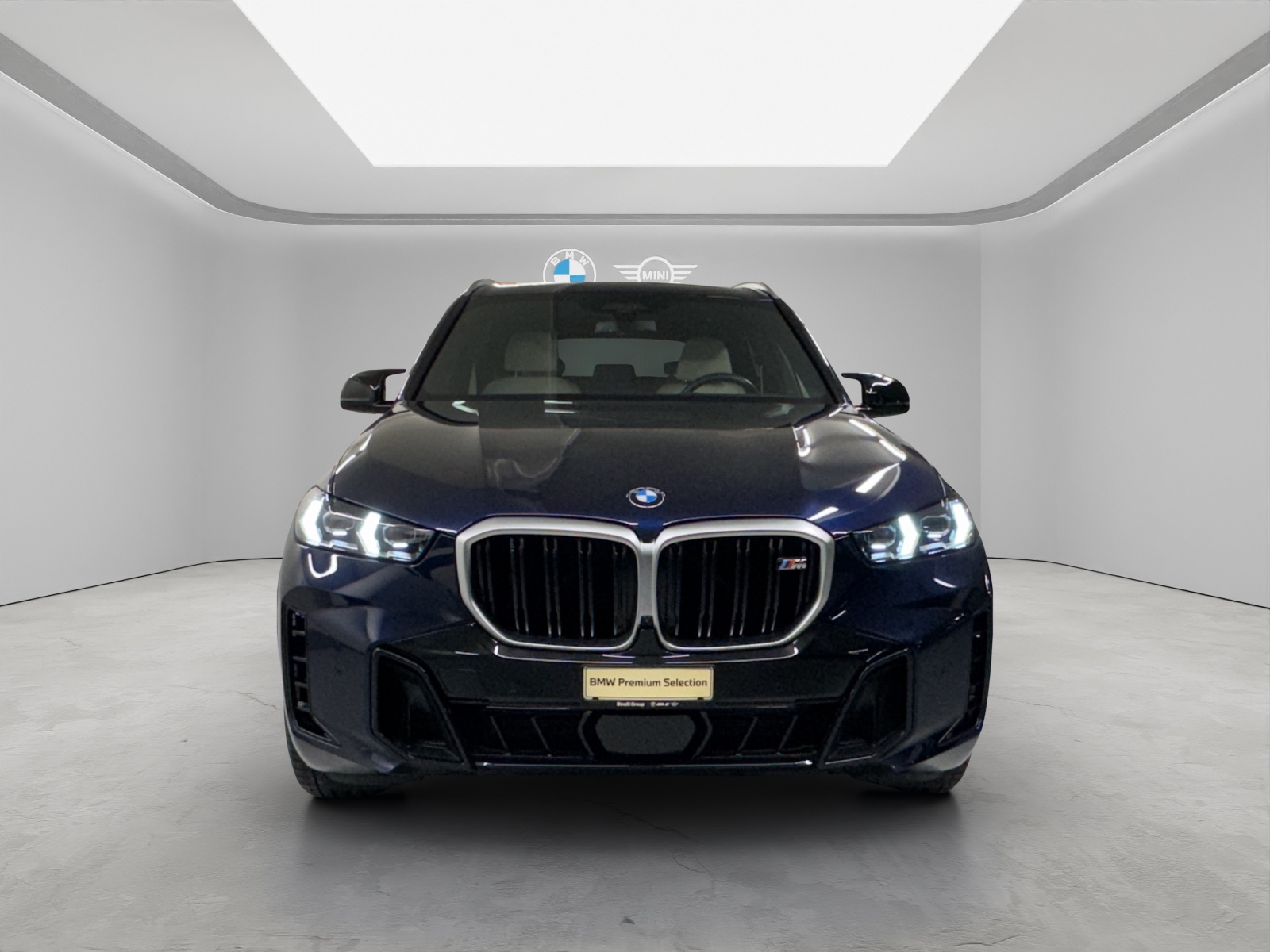 BMW X5 M60i xDrive-image-7