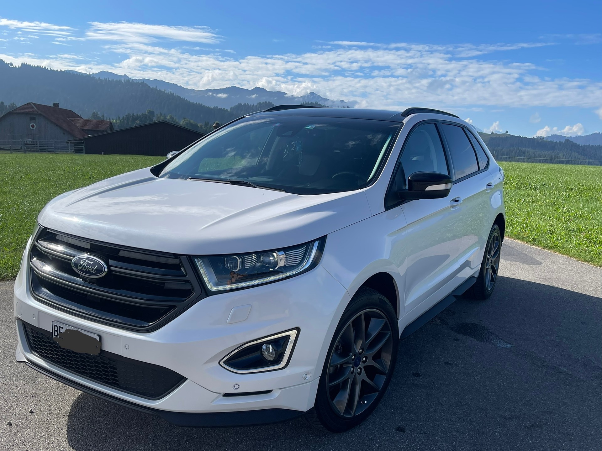 FORD 2.0 TDCi 210 Sport FPS-image-2