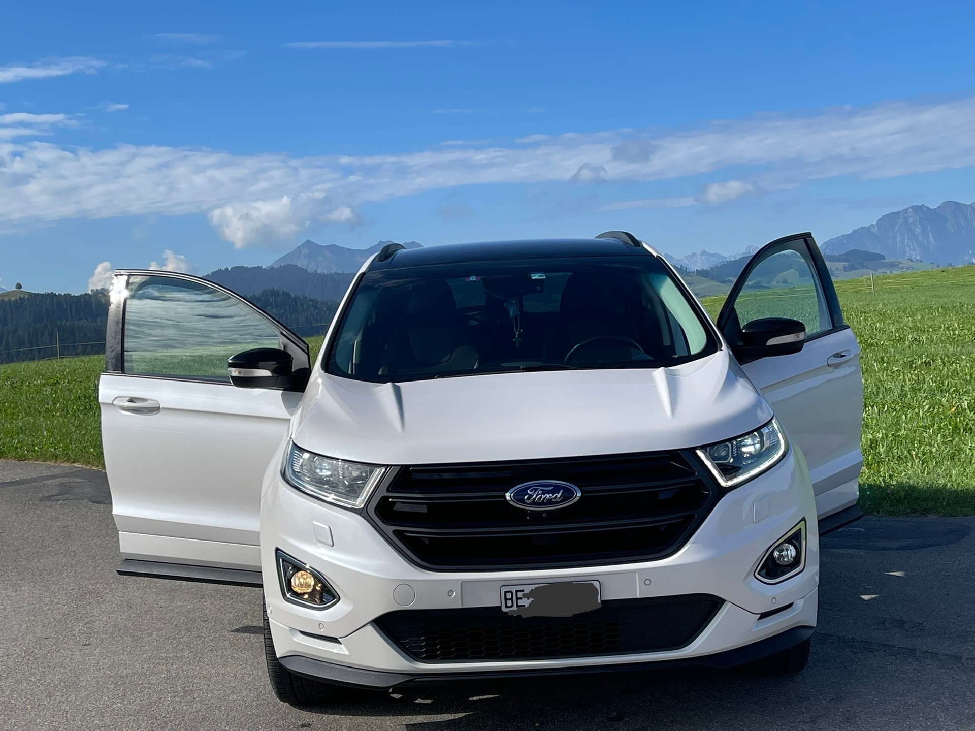 FORD 2.0 TDCi 210 Sport FPS-image-0