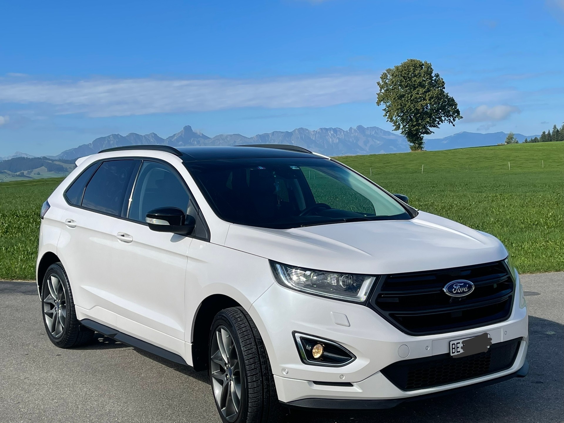 FORD 2.0 TDCi 210 Sport FPS-image-1