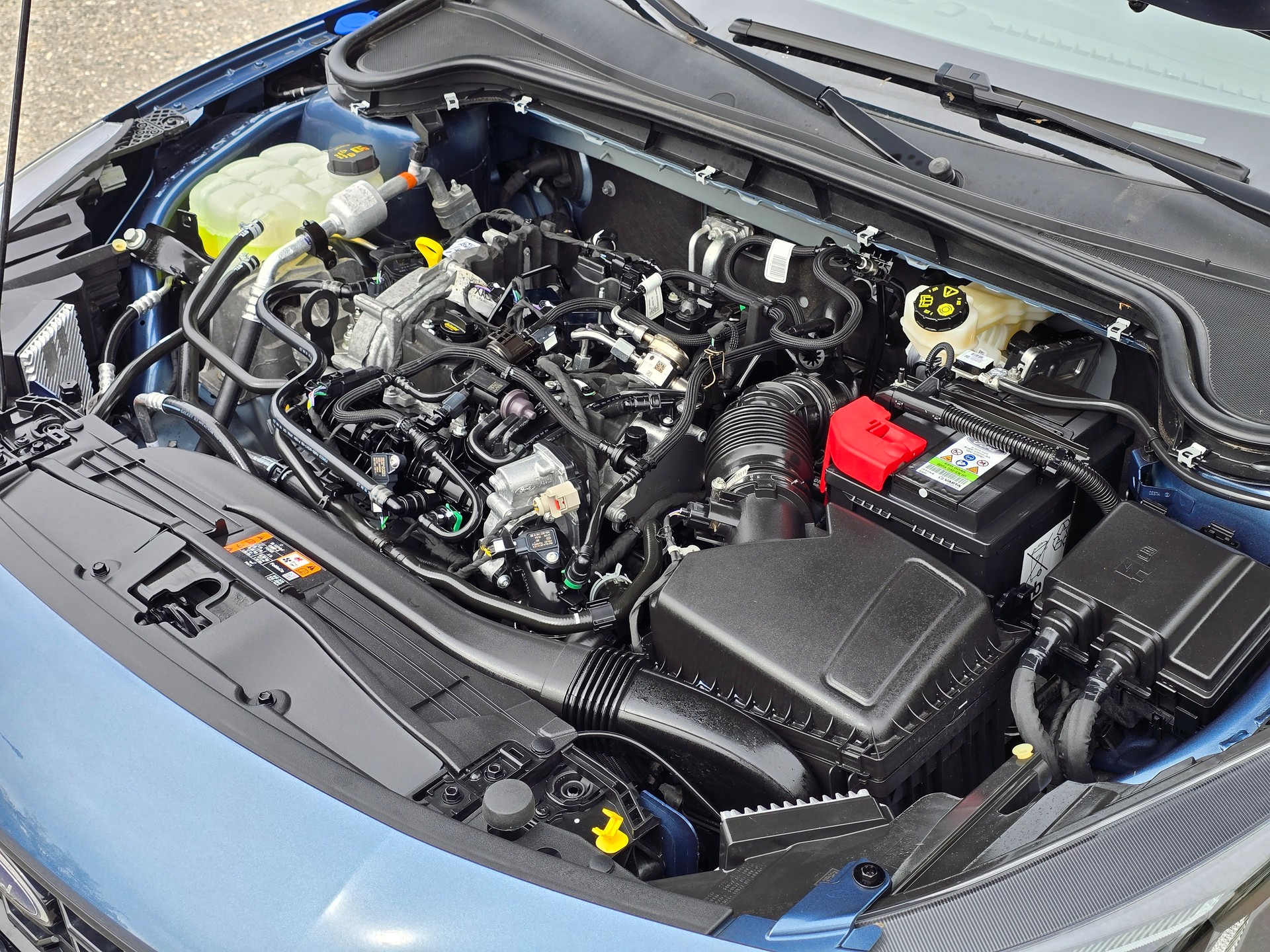 FORD Focus 1.0 MHEV ST-Line X Automat-image-24