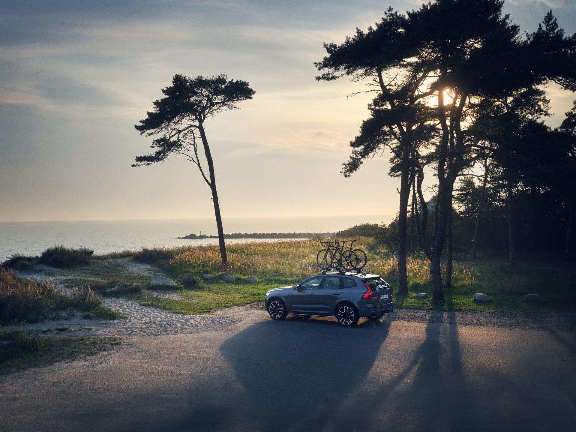 VOLVO XC60 2.0 T8 TE R-Design eAWD-image-11
