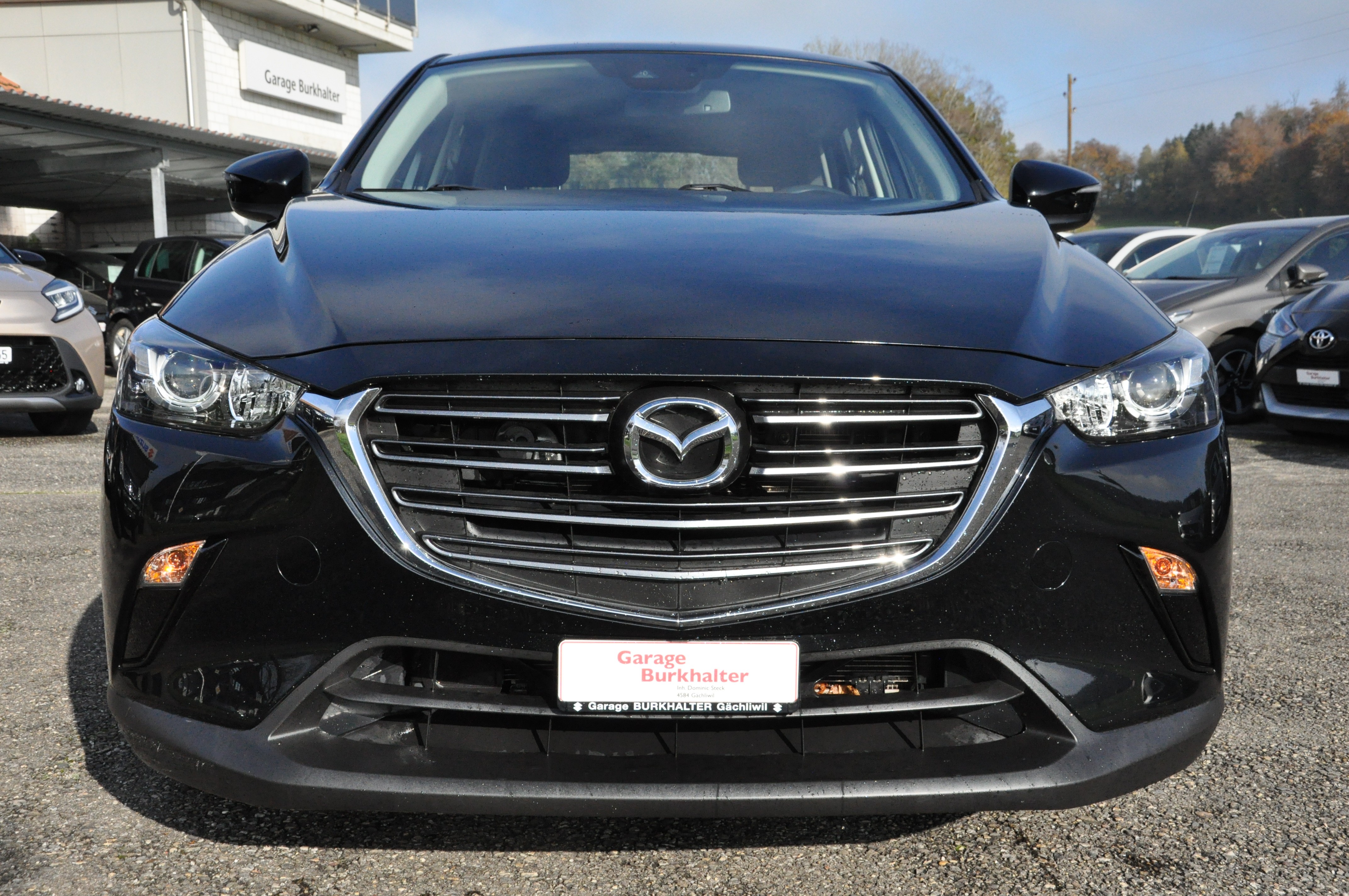 Car photo