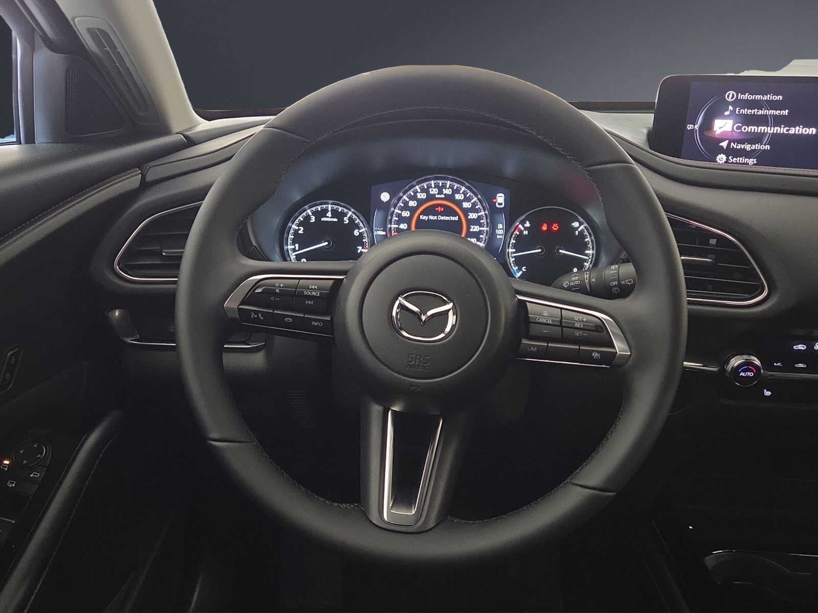 MAZDA CX-30 SKYACTIV-X 186 M Hybrid Homura AWD AT-image-13