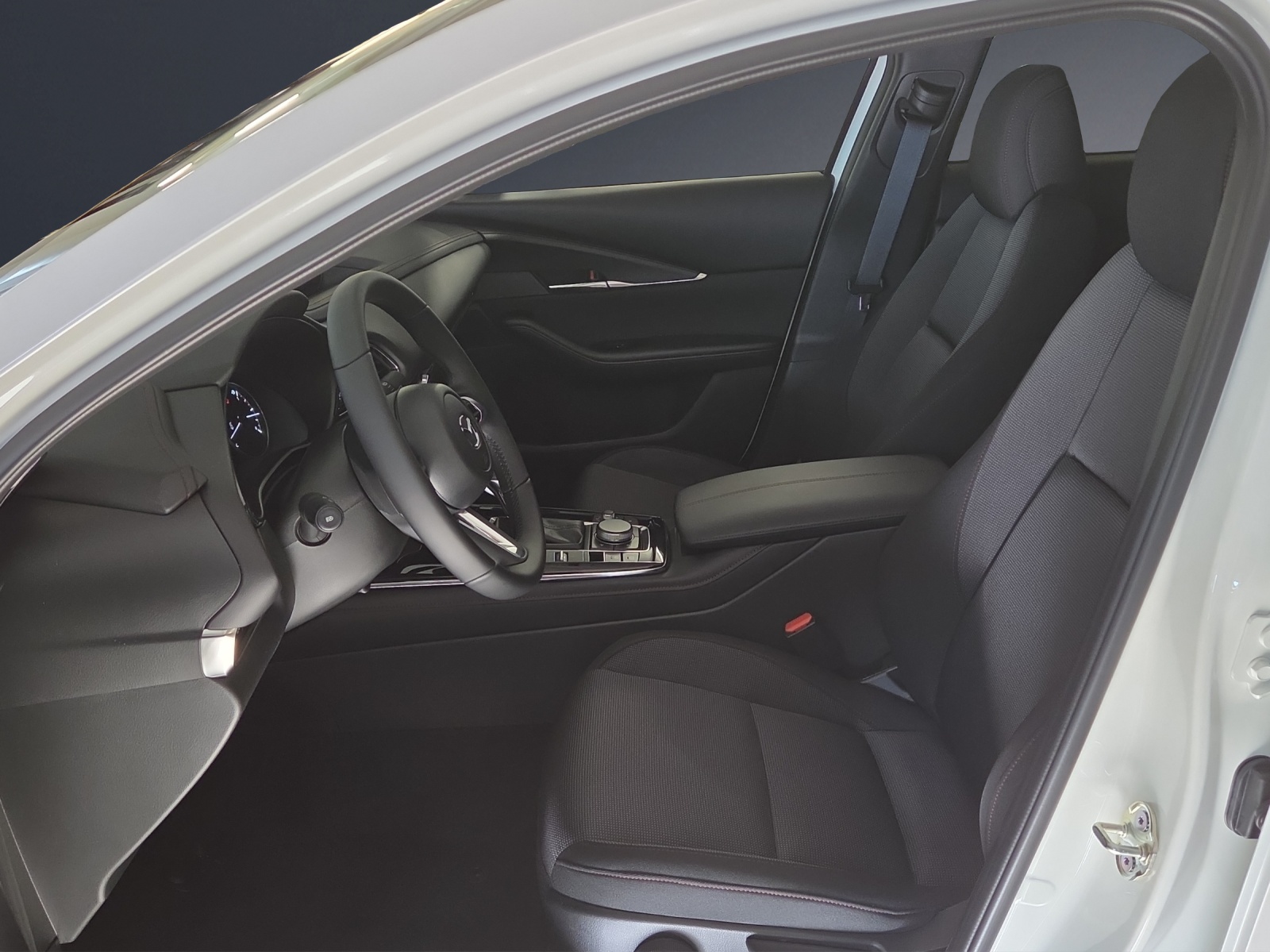 MAZDA CX-30 SKYACTIV-X 186 M Hybrid Homura AWD AT-image-6