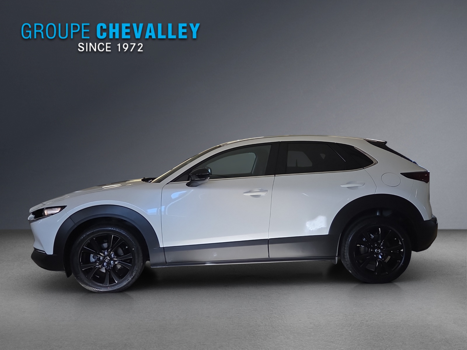 MAZDA CX-30 SKYACTIV-X 186 M Hybrid Homura AWD AT-image-2