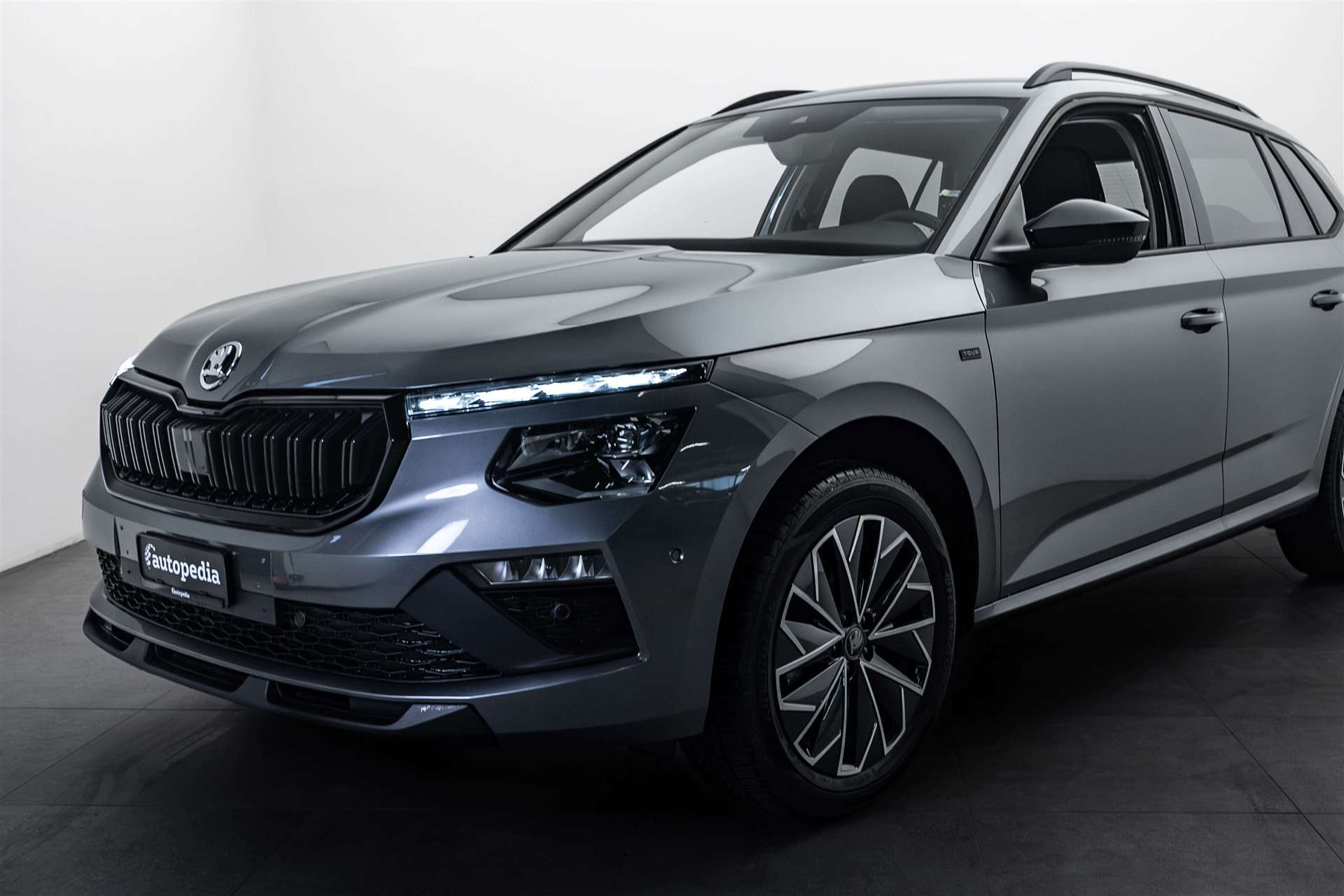 SKODA Kamiq 1.5 TSI Selection DSG-showroom-element-1