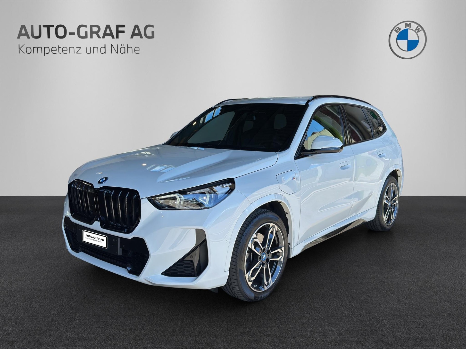 BMW X1 25e M Sport xDrive-image-0