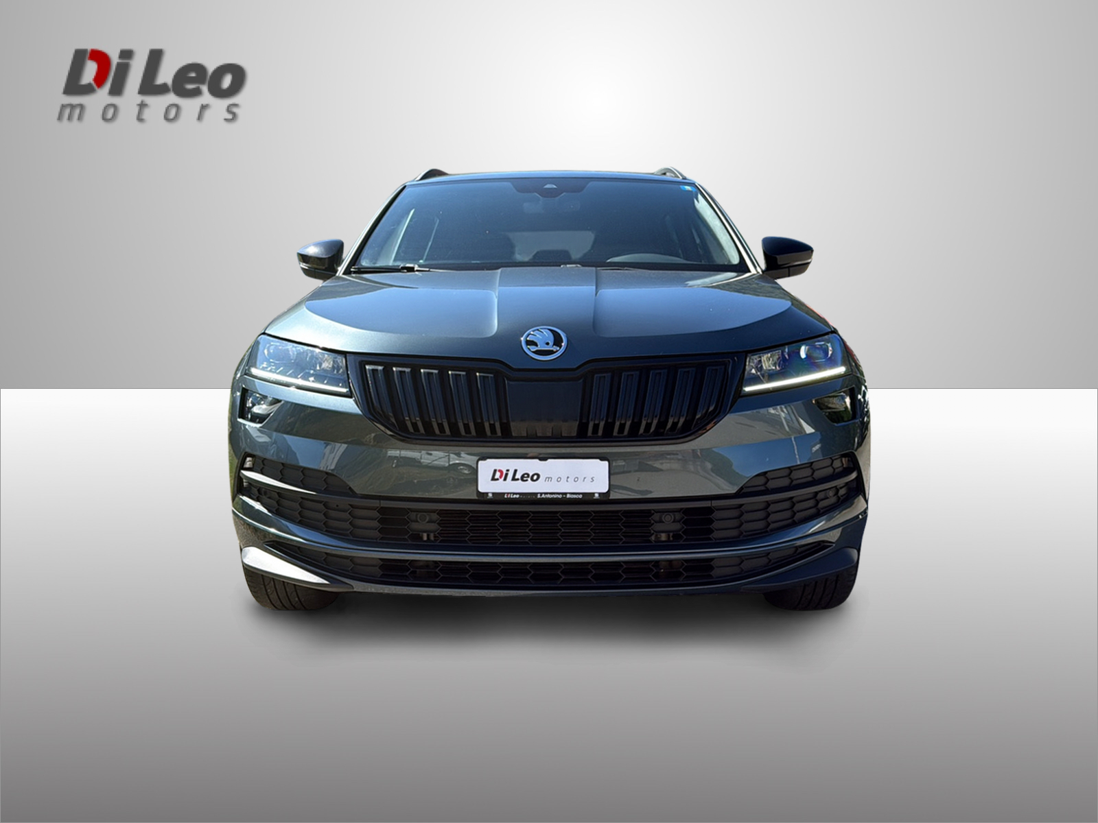 SKODA Karoq 2.0 TDI CR SportLine 4x4 DSG-image-1