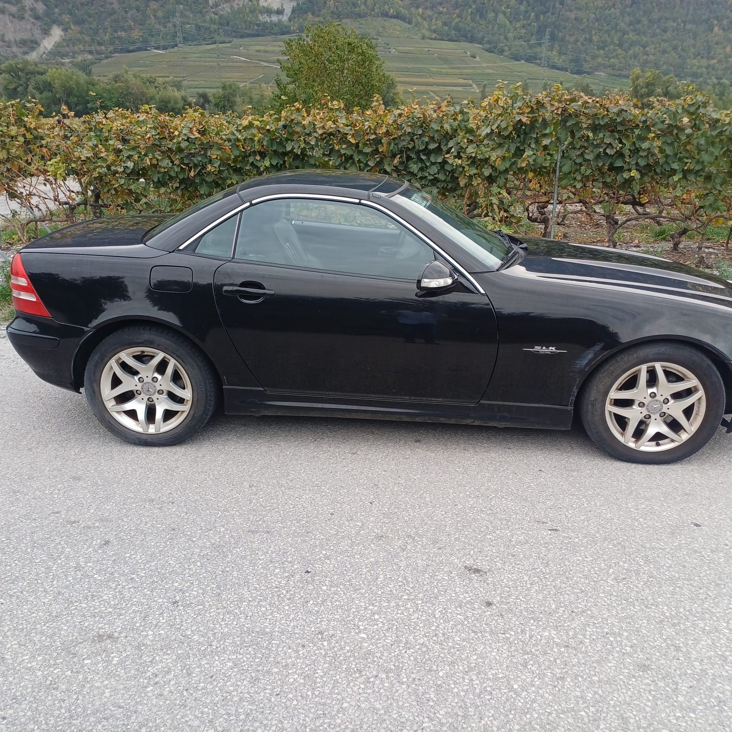 MERCEDES-BENZ SLK 200 Kompressor Final Edition-image-8