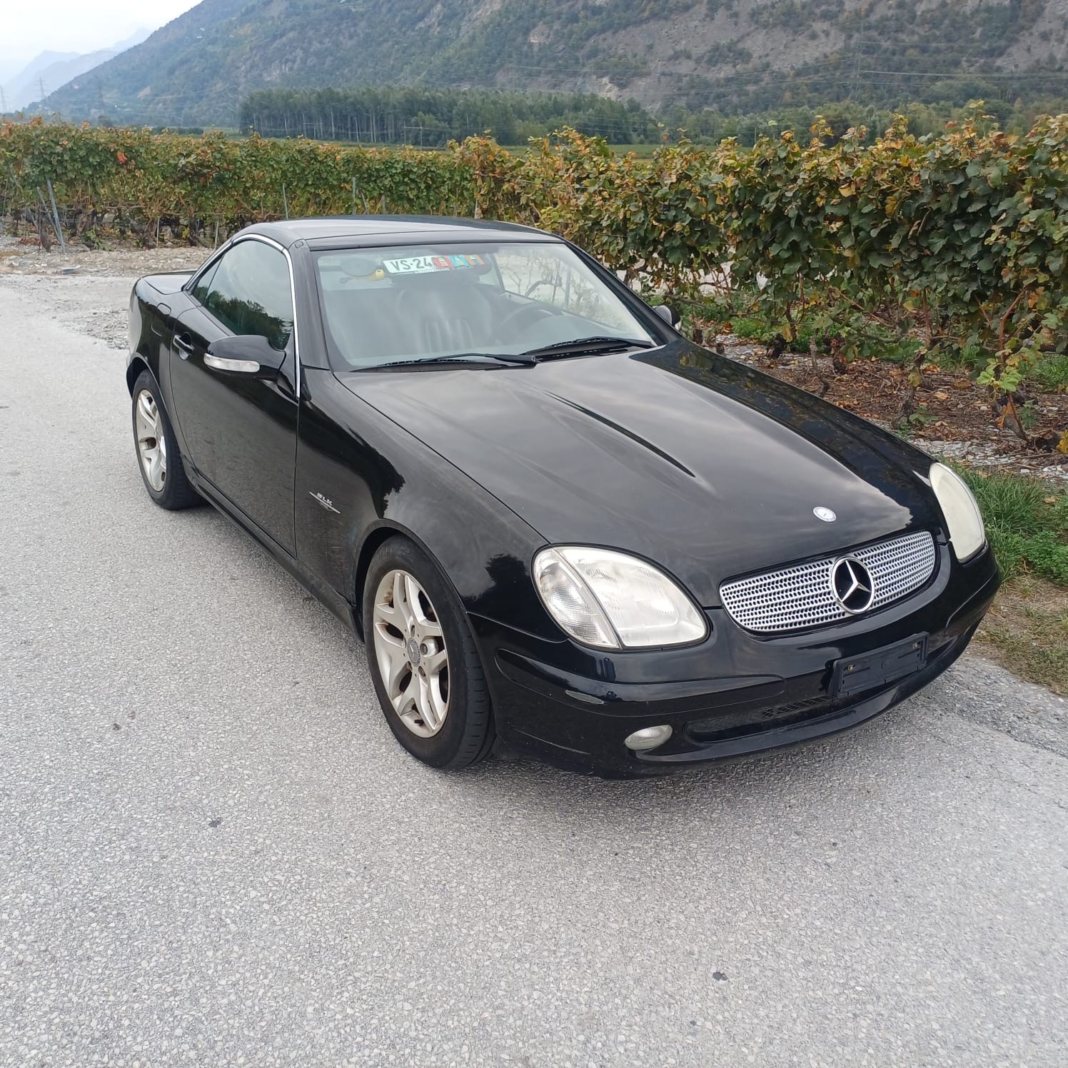 MERCEDES-BENZ SLK 200 Kompressor Final Edition-image-5