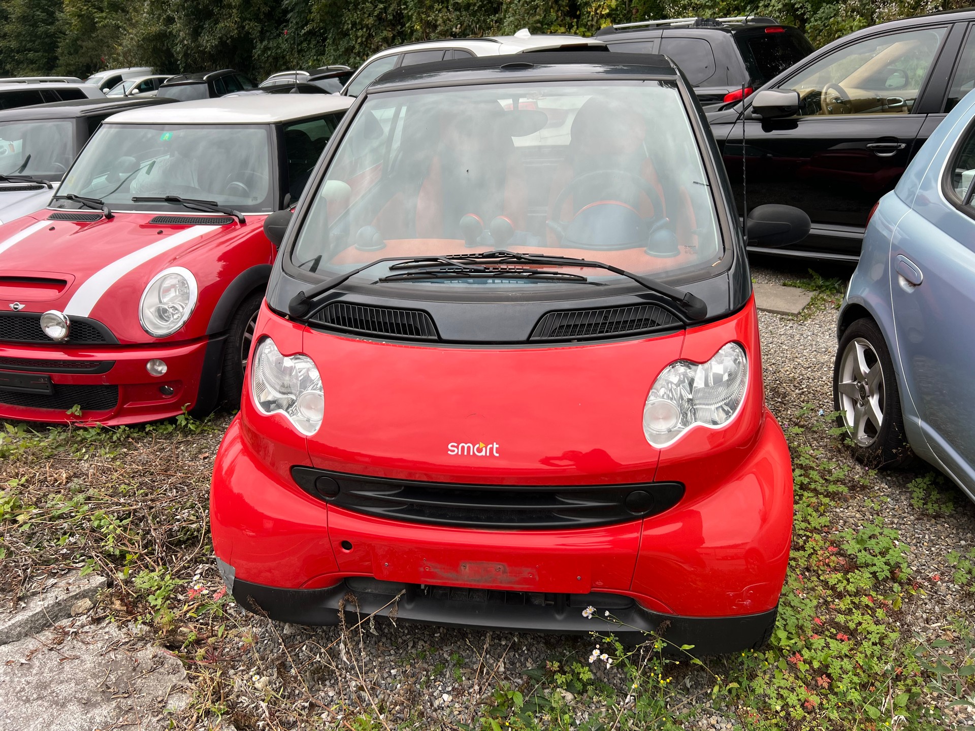 SMART fortwo pulse-image-1
