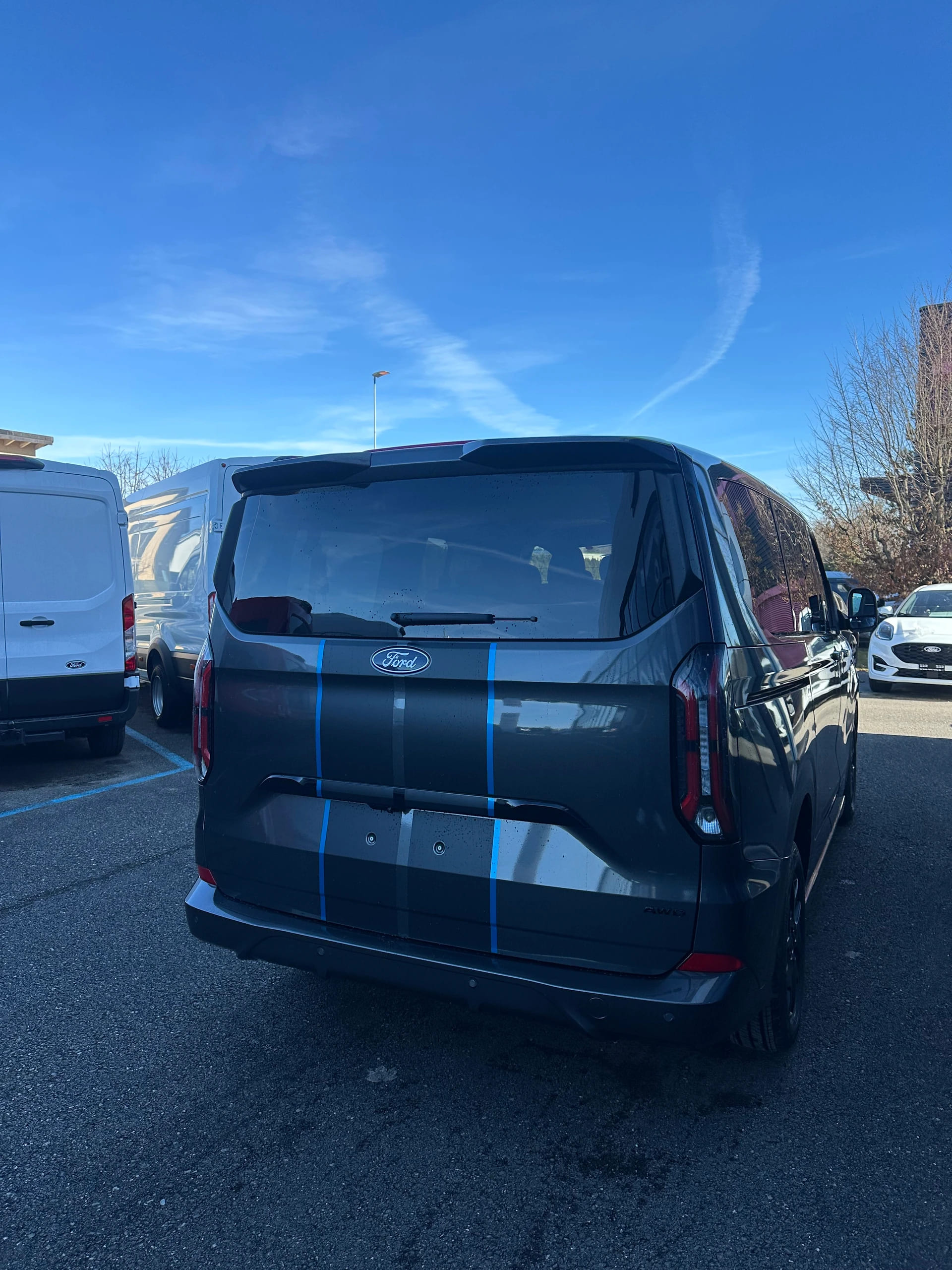 FORD Tourneo Custom 320 L1 2.0 EcoBlue 170 Sport 4x4-image-6