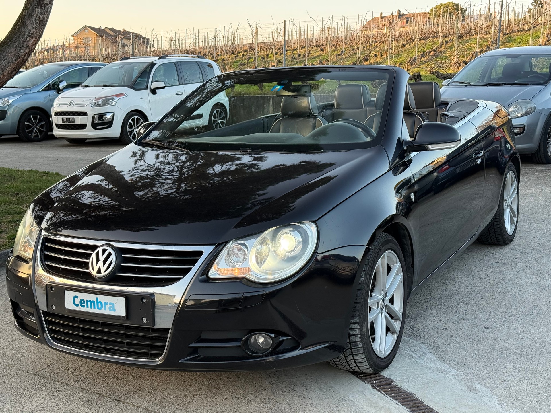 VW Eos-image-1