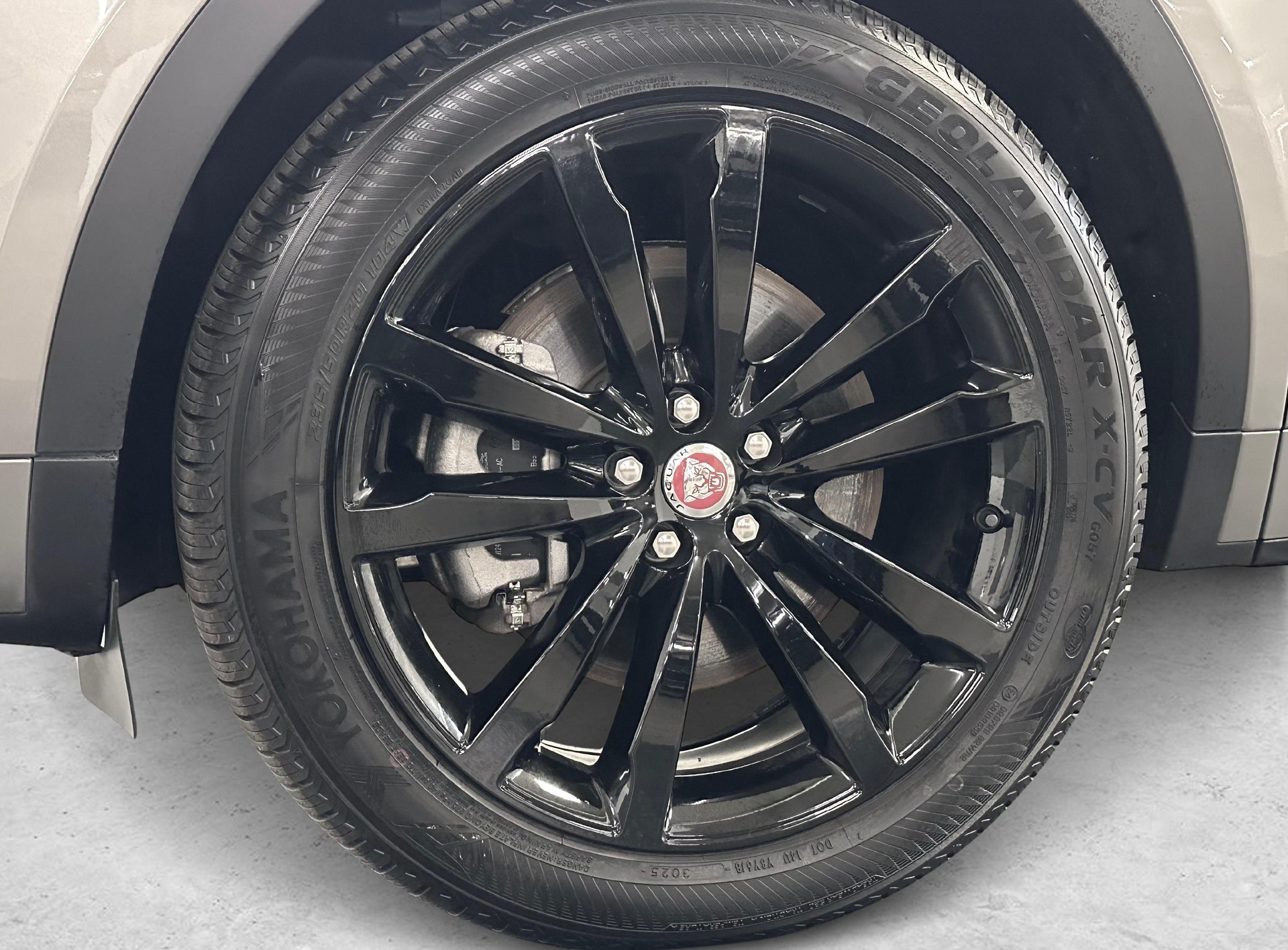 JAGUAR E-Pace 1.5 T 300e R-Dynamic S AWD-image-12