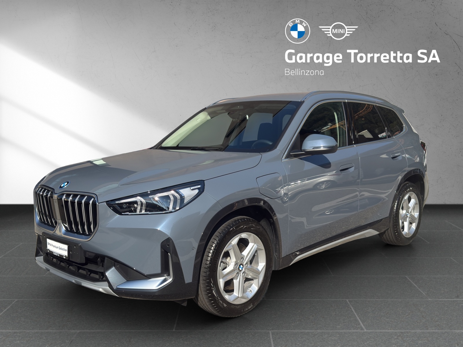 BMW X1 xDrive 25e xLine-image-0
