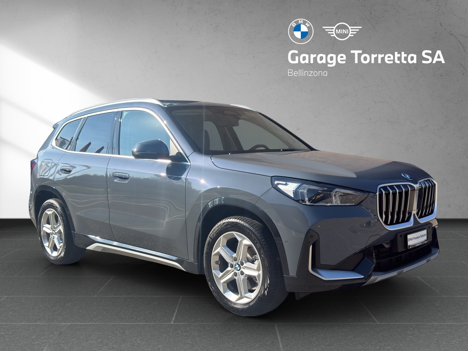 BMW X1 xDrive 25e xLine-image-6