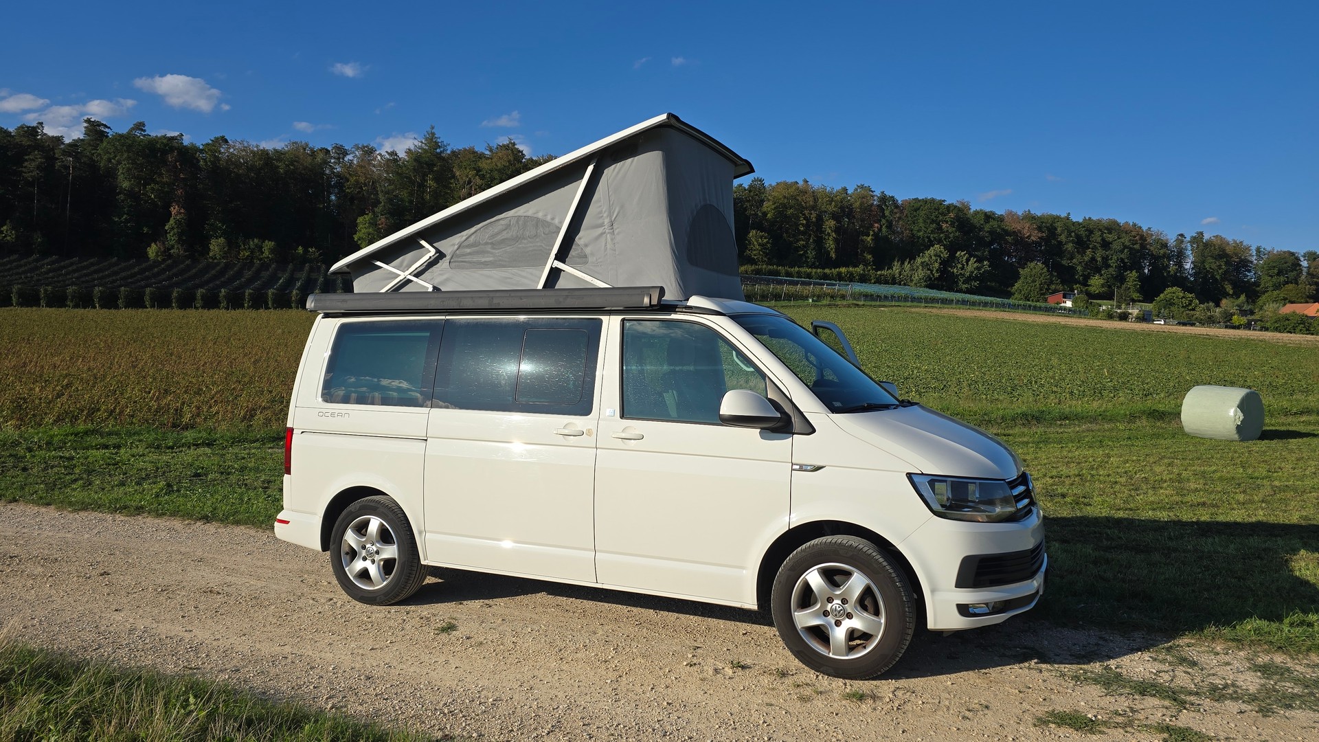 VW T6 California-image-6