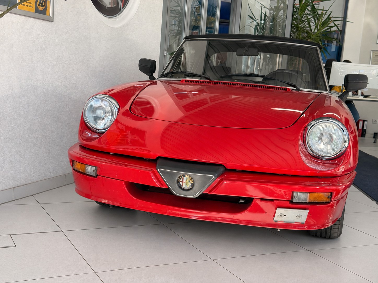 ALFA ROMEO Quadrifoglio Verde-showroom-element-1